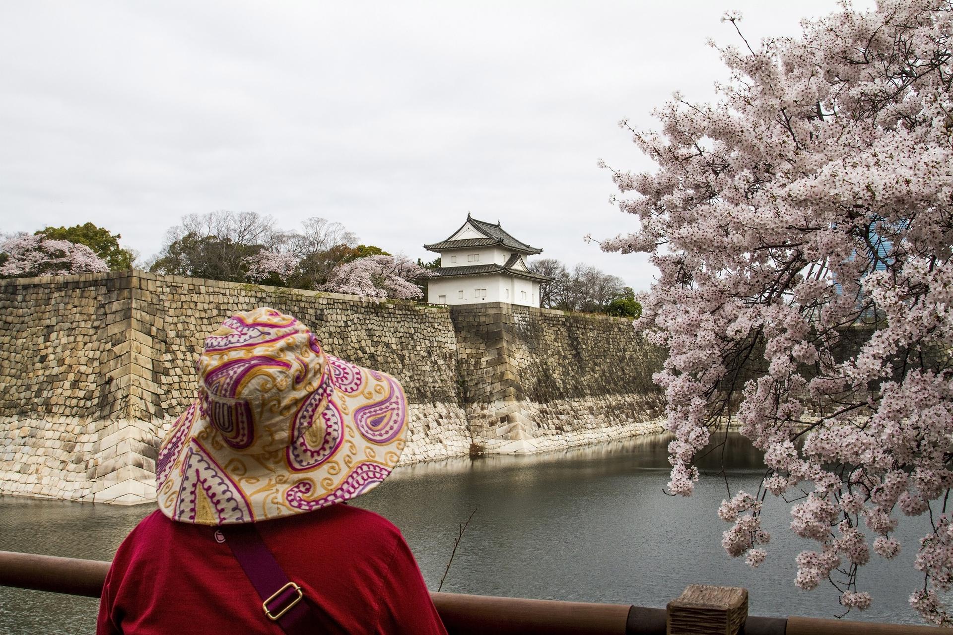 Osaka Castle 3 hours Historical Walking Tour - Thumbnail 12