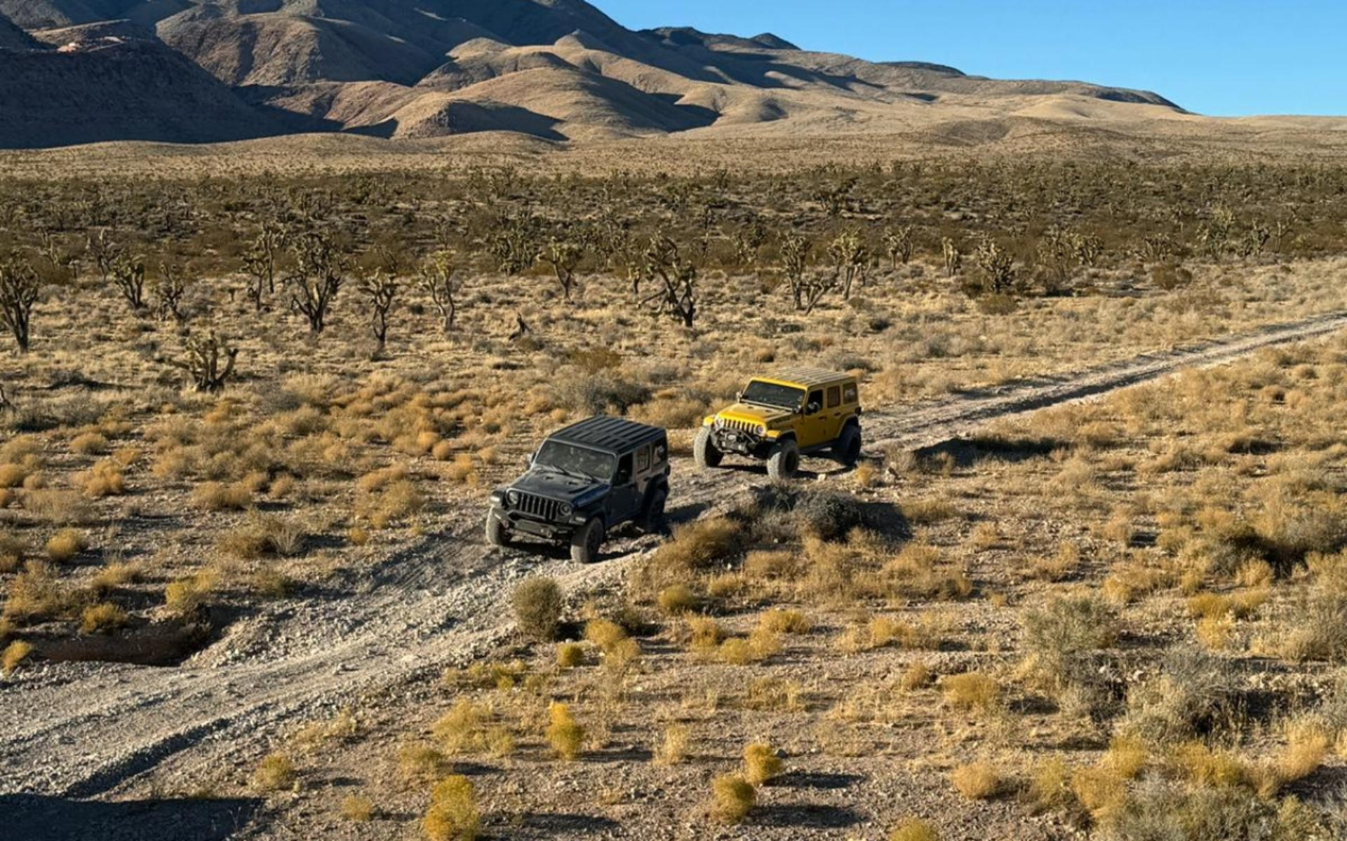 Off-Road Desert Experience - Thumbnail 6