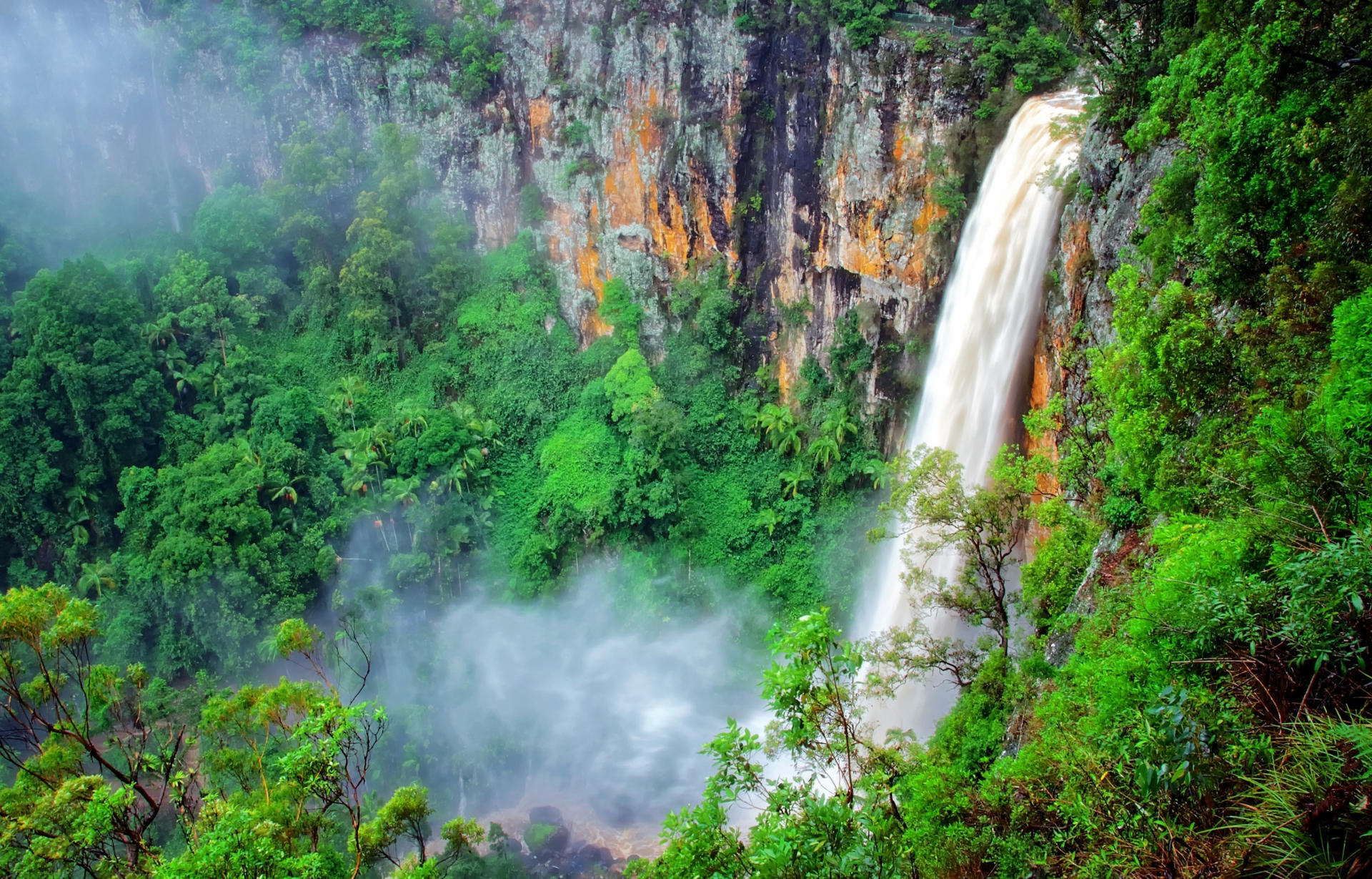 Natural Bridge and Springbrook Waterfalls Tour from Gold Coast - Thumbnail 4