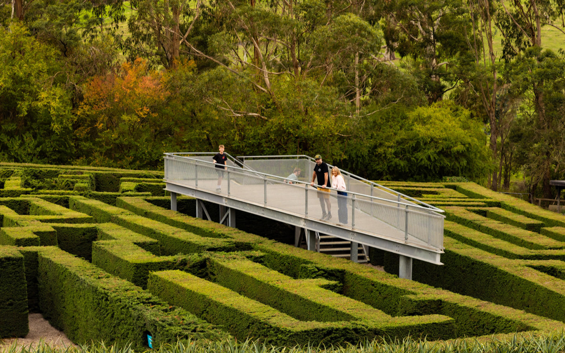 Enchanted Adventure Ticket on the Mornington Peninsula - Thumbnail 8