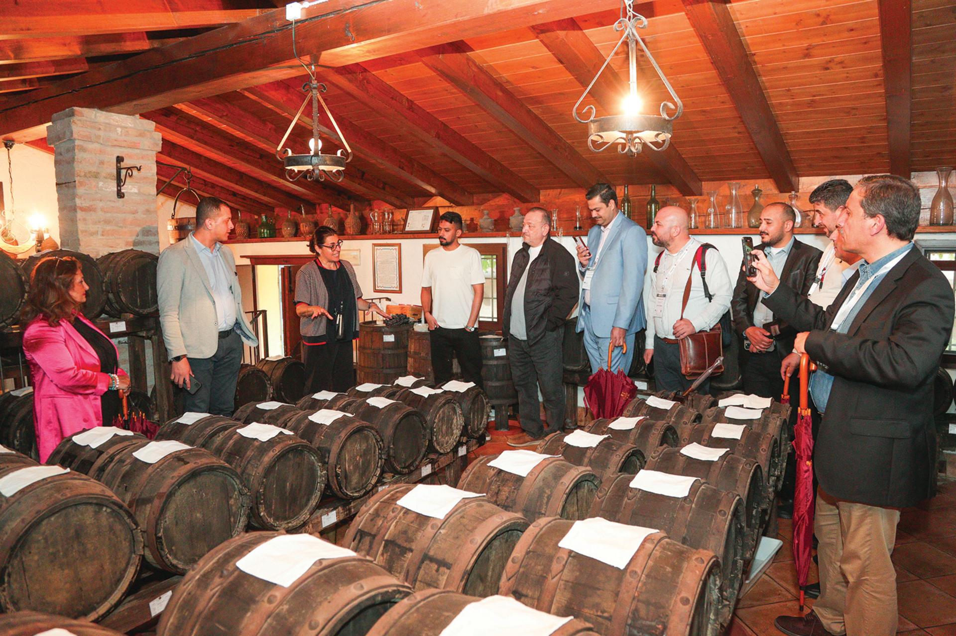 Modena Balsamic Vinegar: A True Taste Experience - Thumbnail 16
