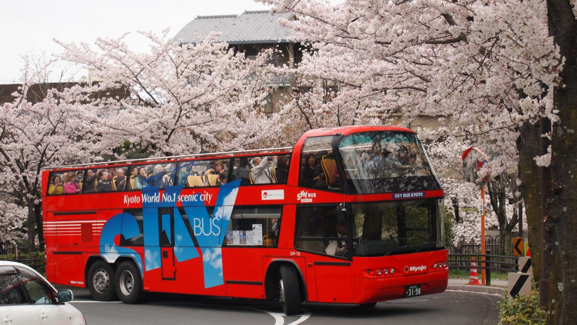 Kyoto Hop-On Hop-off sightseeing bus by Skyhop Bus (1day / 2days ticket) - Thumbnail 2