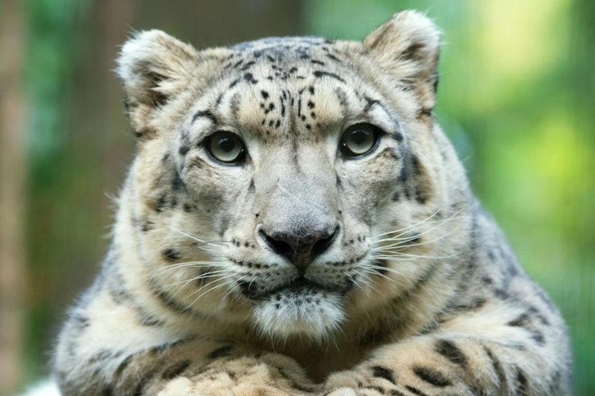 Central Park Zoo Ticket in New York City - Thumbnail 5