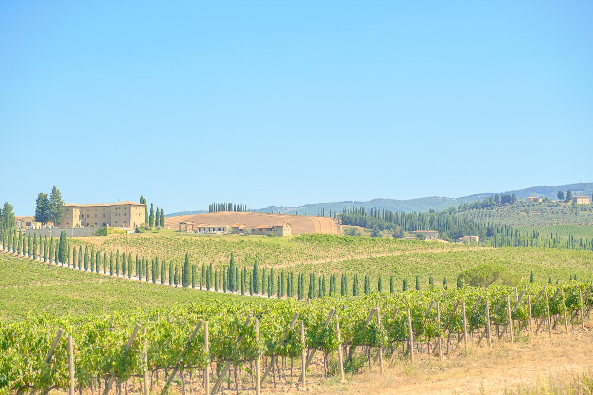 Chianti Delights: A Tale Of Two Wineries With A Vineyard Dinner - Thumbnail 4
