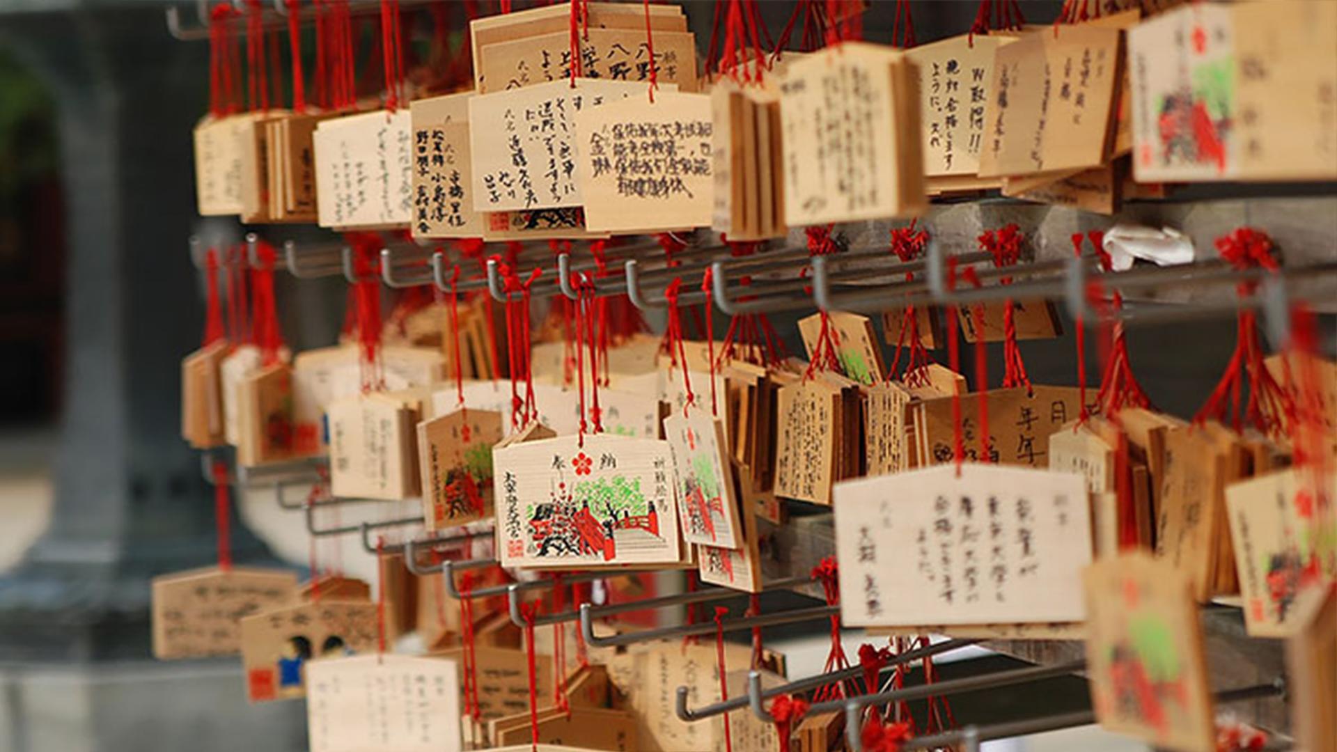 Tokyo: Meiji Shrine Walking Tour - Shintoism & Imperial System - Thumbnail 8
