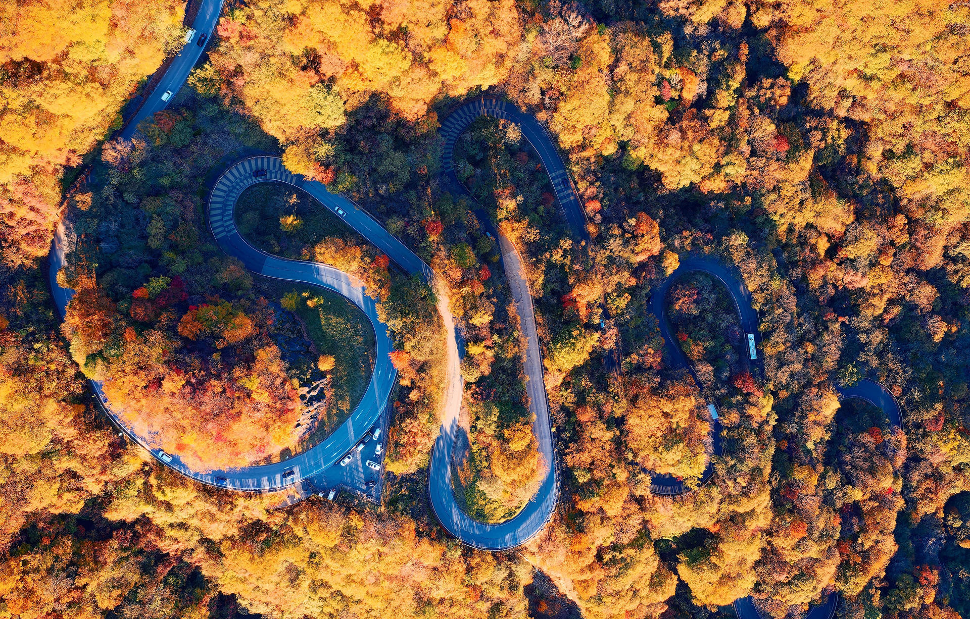 Nikko Autumn Special: Irohazaka, Kegon Falls & Toshogu Day Tour - Thumbnail 2