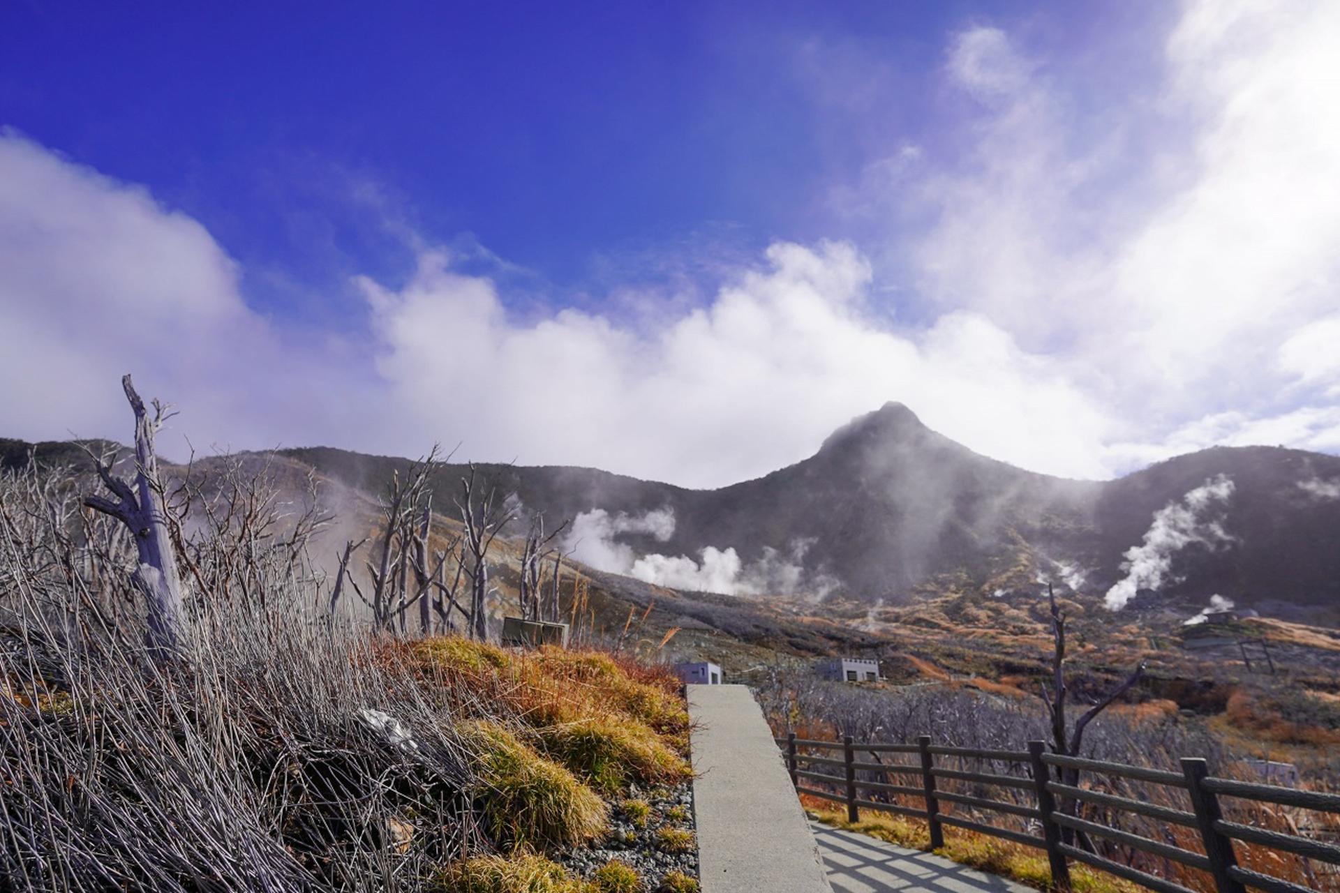 Hakone Full Day Chartered Private Tour: Art & Nature - Thumbnail 55