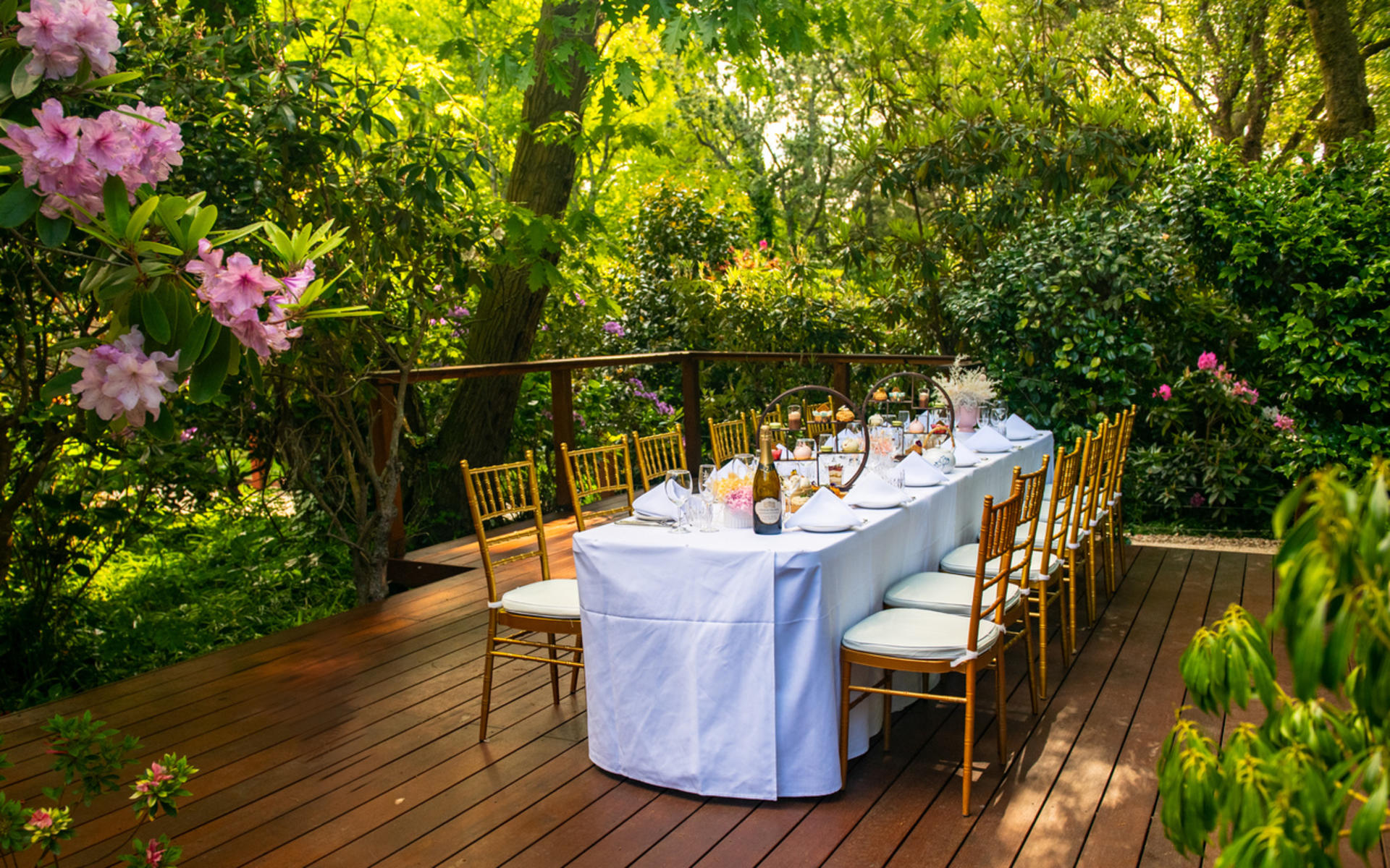 Olinda House High Tea Experience - Thumbnail 4