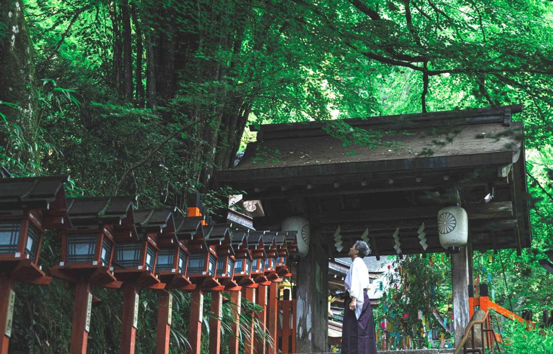 Kyoto Sanzen-in, Kifune Shrine, and Arashiyama Small Group Day Tour (Driver-Guide Service) - Thumbnail 3