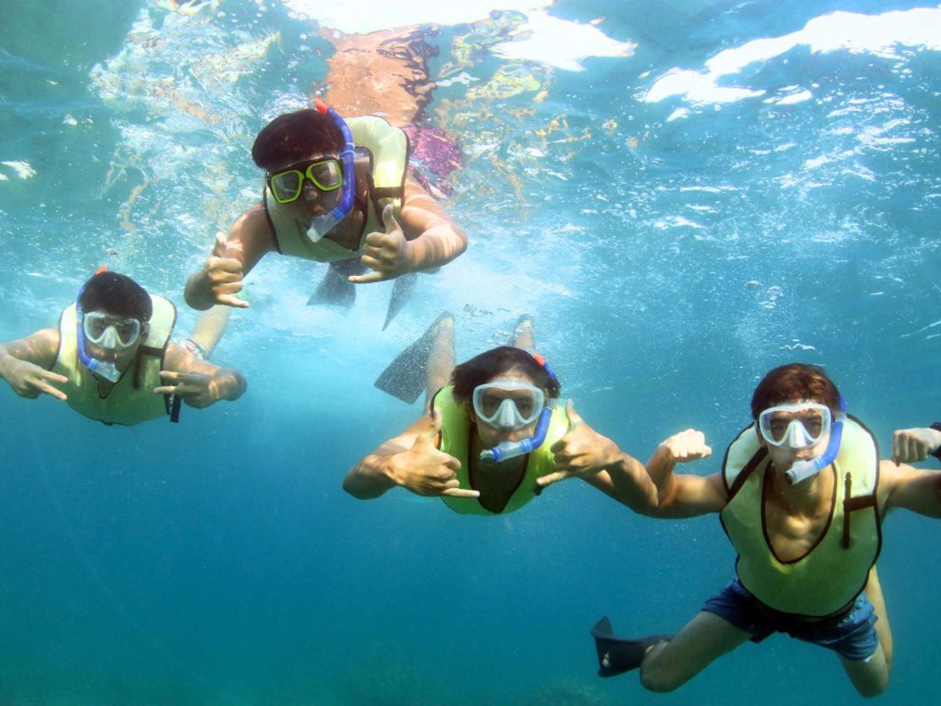 Zipline & Dolphin Watching Snorkel Adventure in Oahu - Thumbnail 16