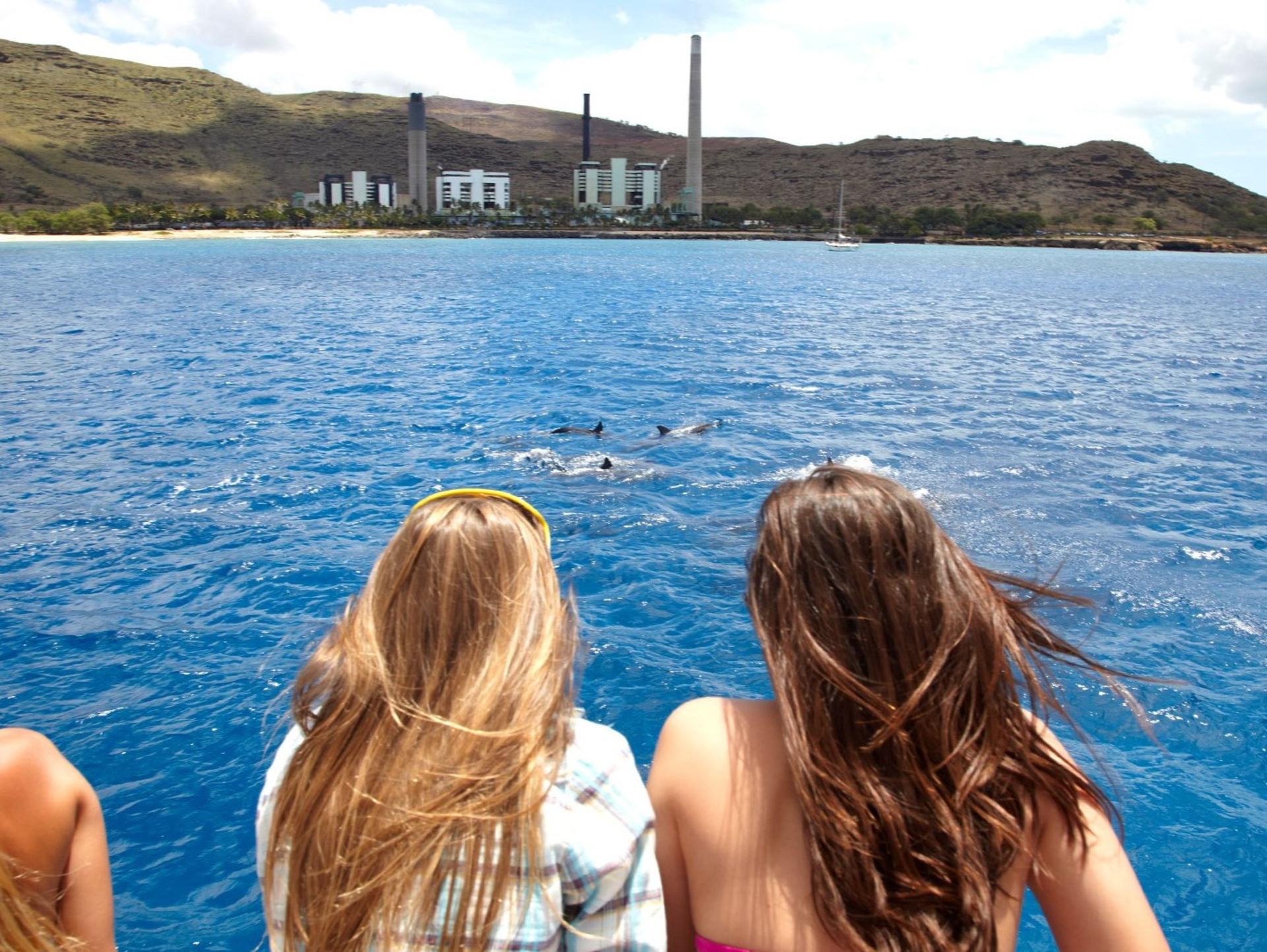 Morning Dolphin and Snorkel Excursion From Waianae Harbor - Thumbnail 3