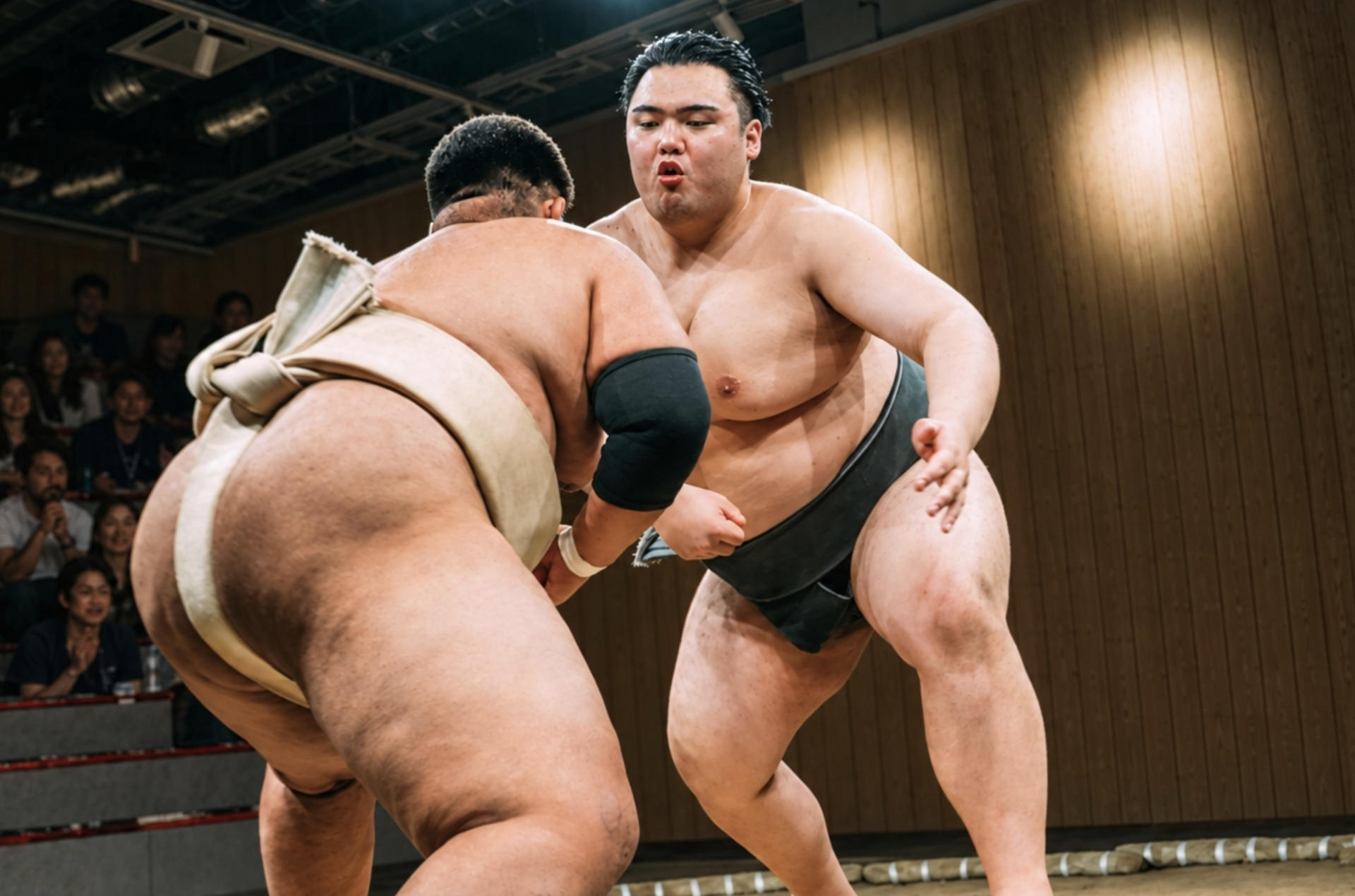 Kyoto: Sumo Experience (with Live Show & Audience Challenge) - Image 1