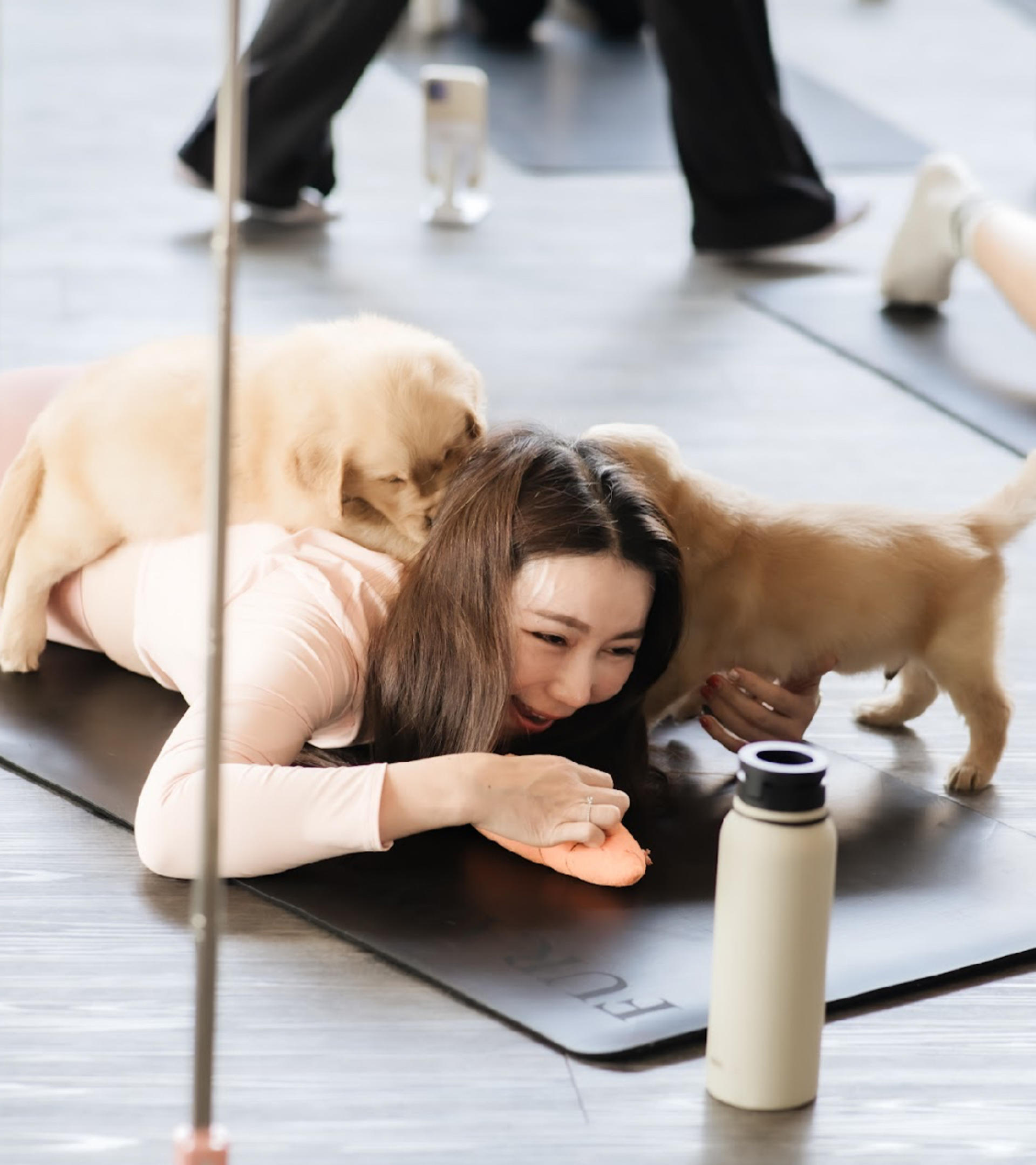 Puppy & Kitten Yoga Therapy with Photo Experience in Bangkok - Thumbnail 21