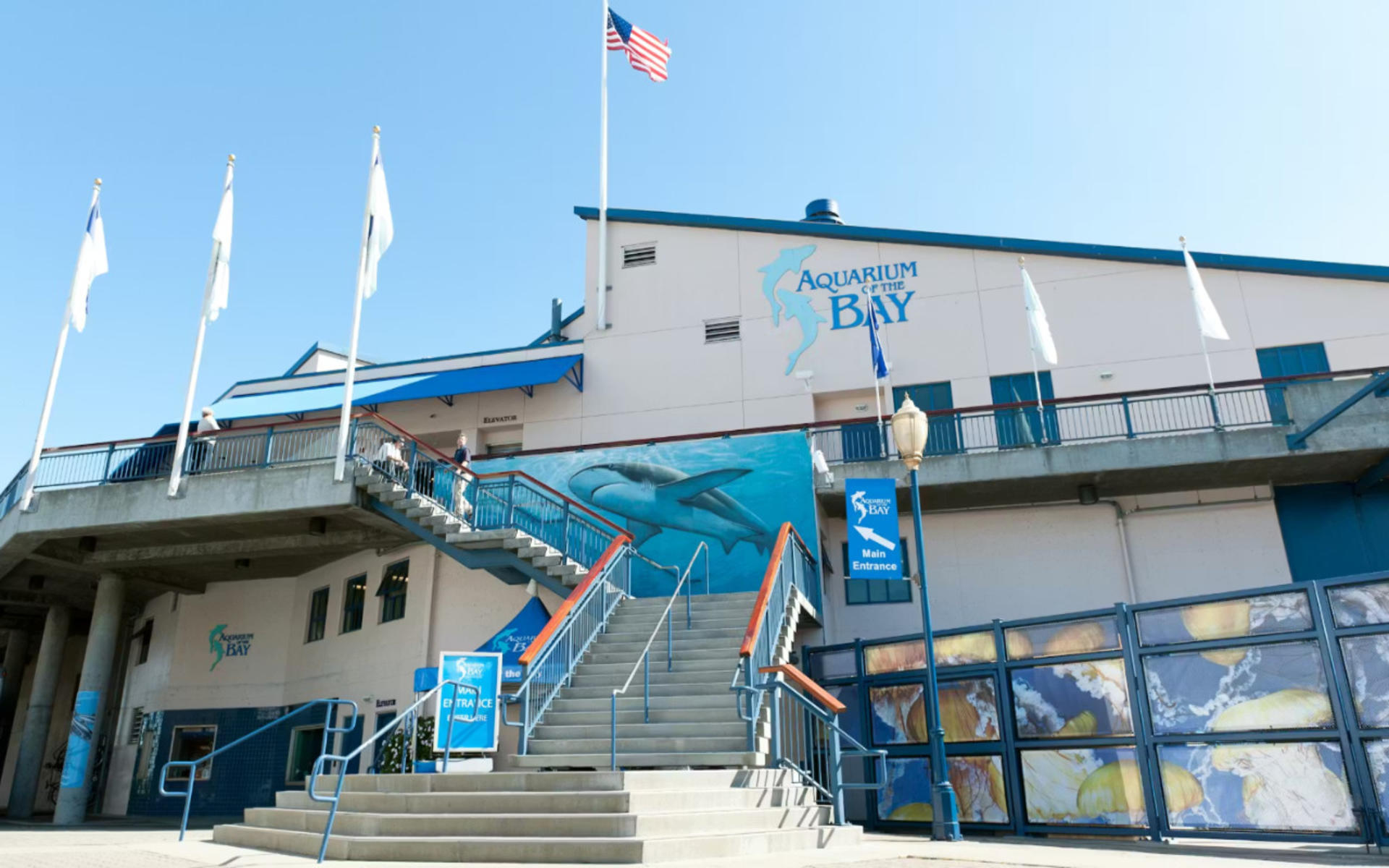 Aquarium of the Bay Ticket - Thumbnail 2