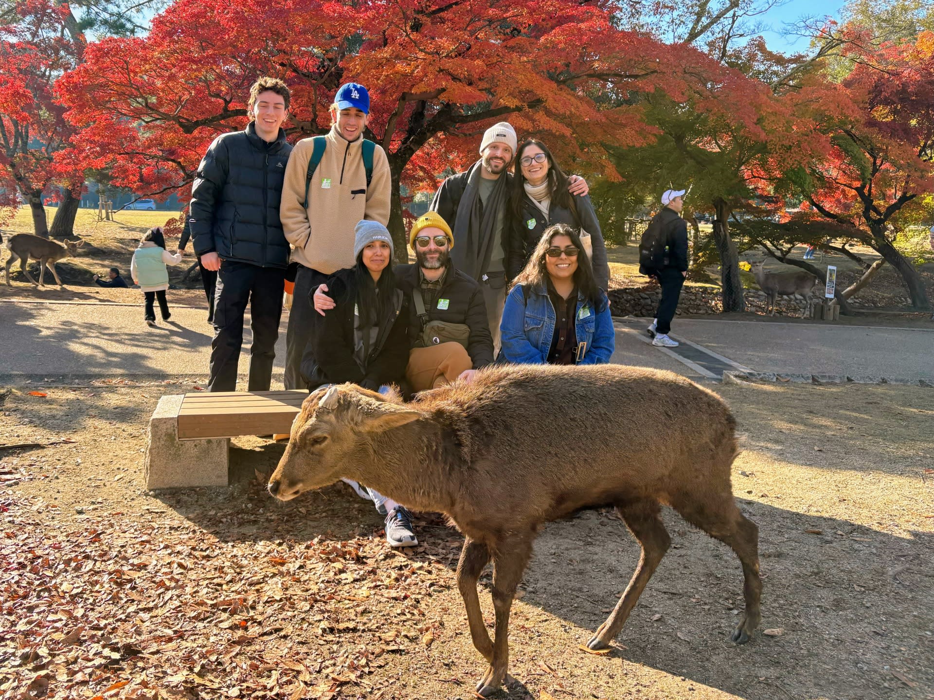 Nara & Kyoto Guided Bus Tour by Professional guide - Thumbnail 2