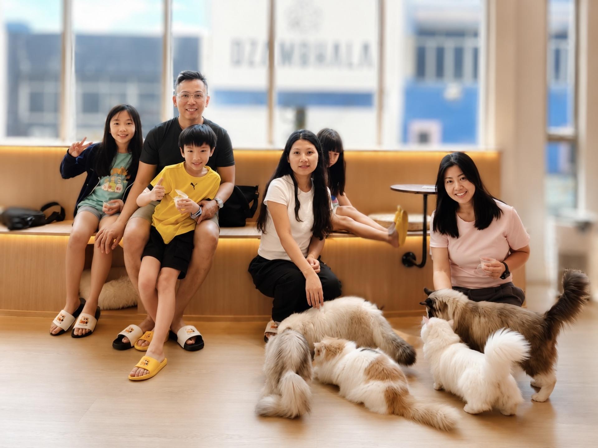 Meow Lounge Cat Cafe Experience in Melaka - Thumbnail 3