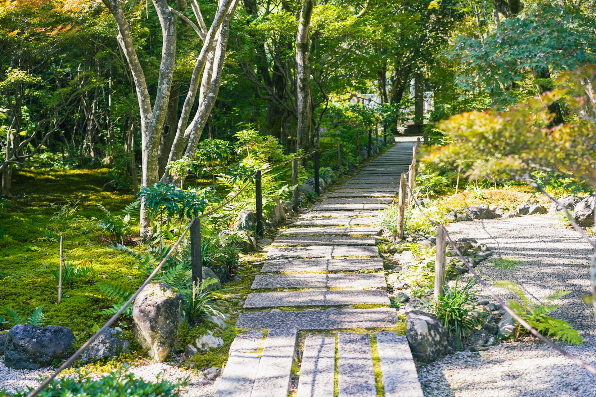 Kyoto Arashiyama Bamboo Forest & Garden Half Day Guided Walking Tour - Thumbnail 33