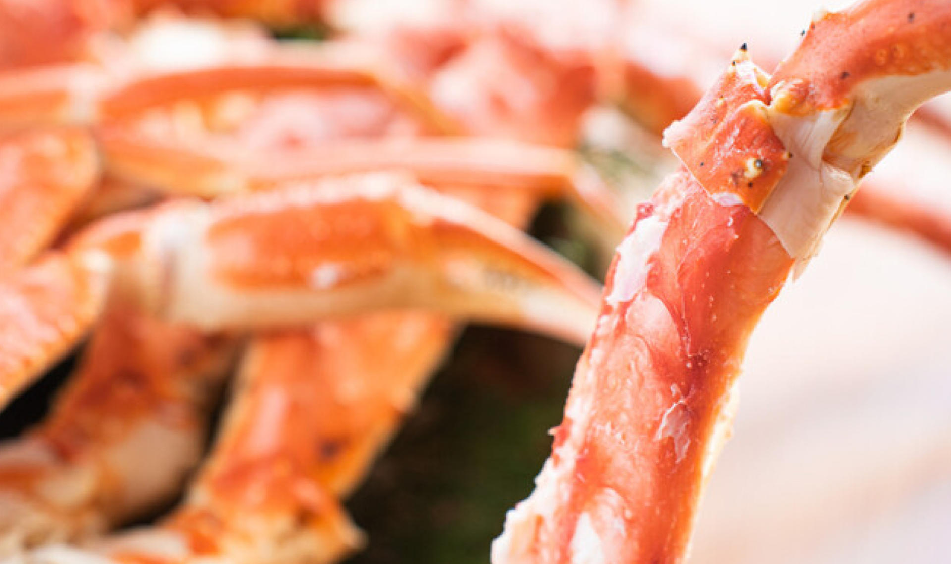Kyoto Crab Buffet: All-You-Can-Eat Snow Crab Experience - Thumbnail 4