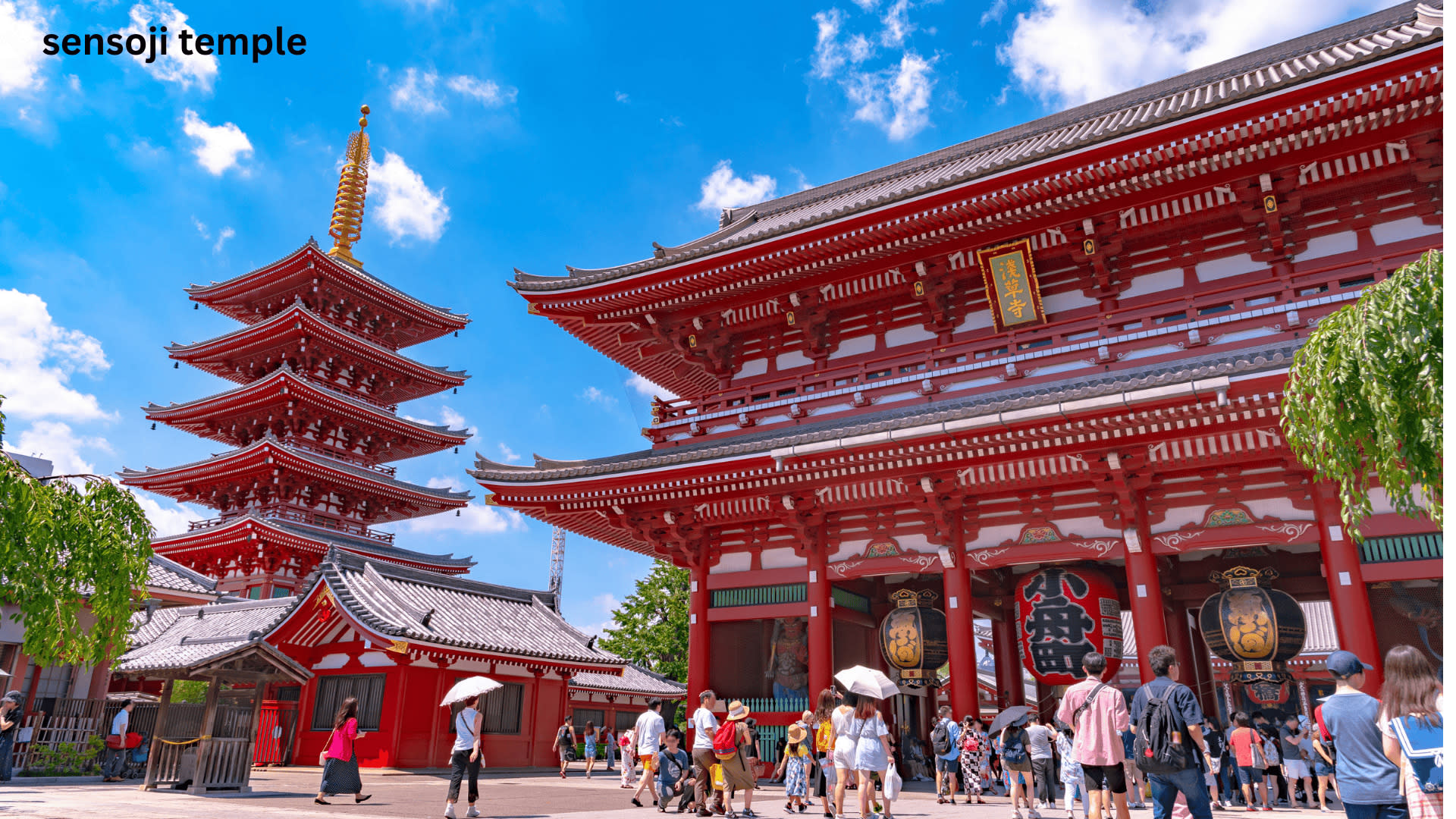Tokyo Private Tours - Trips to Tokyo One-day Private & Customizable Tour - Thumbnail 6