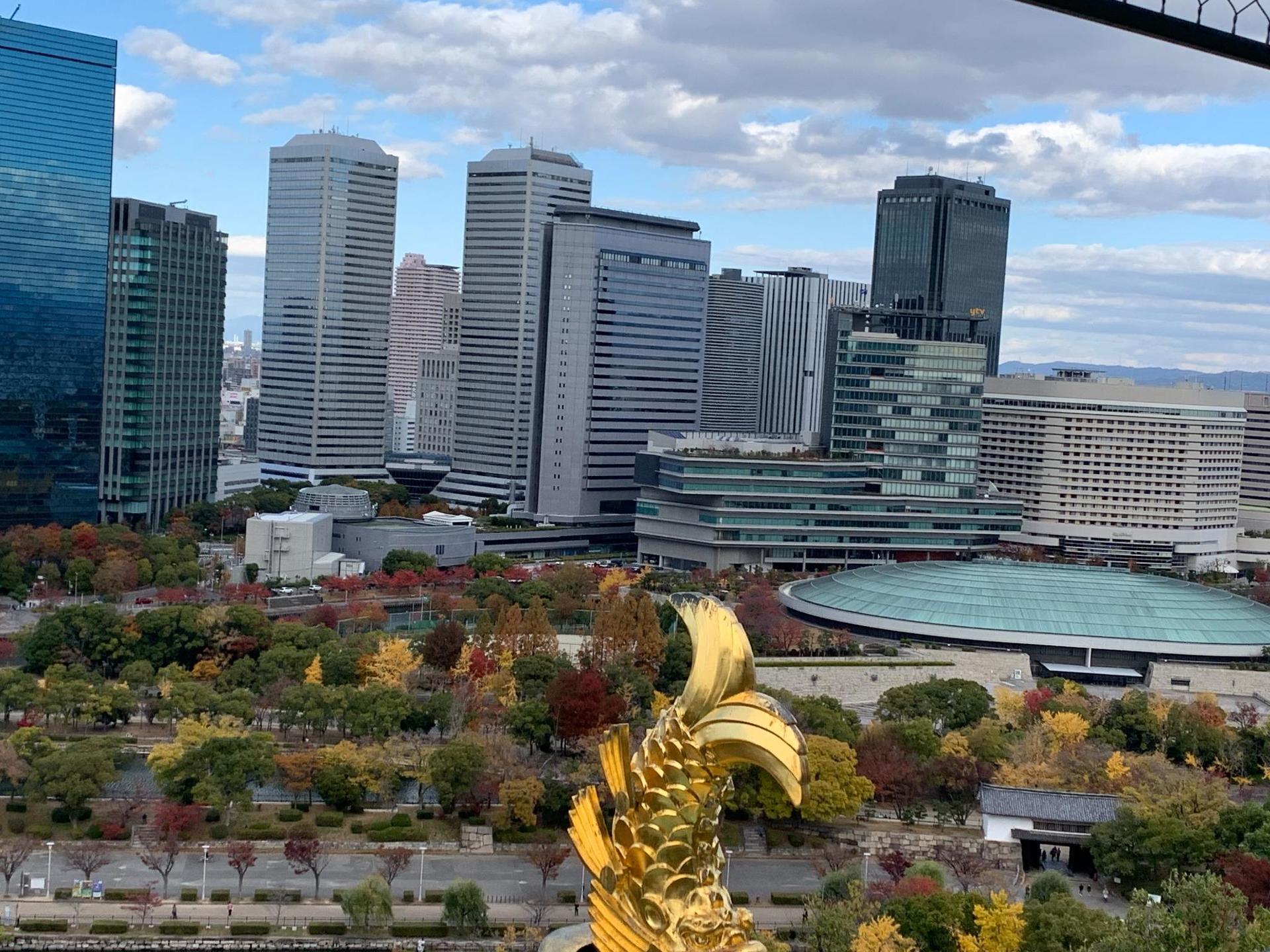 Osaka Guided Walking Tour with Native Expert Exploring Top Sights - Thumbnail 10