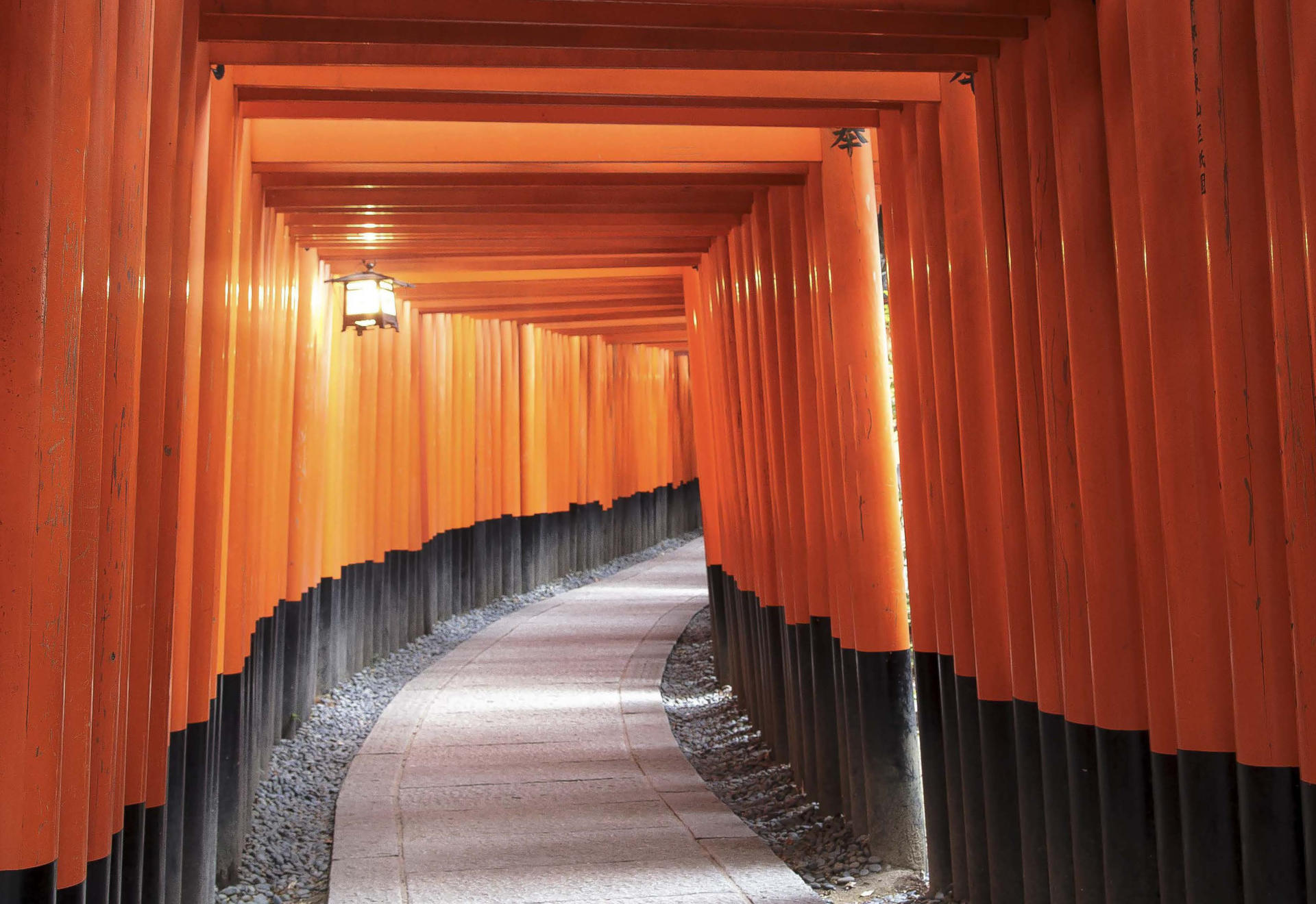 Kyoto Bus Tour: Fushimi, Kiyomizu, Kinkaku-ji & Arashiyama - Image 1
