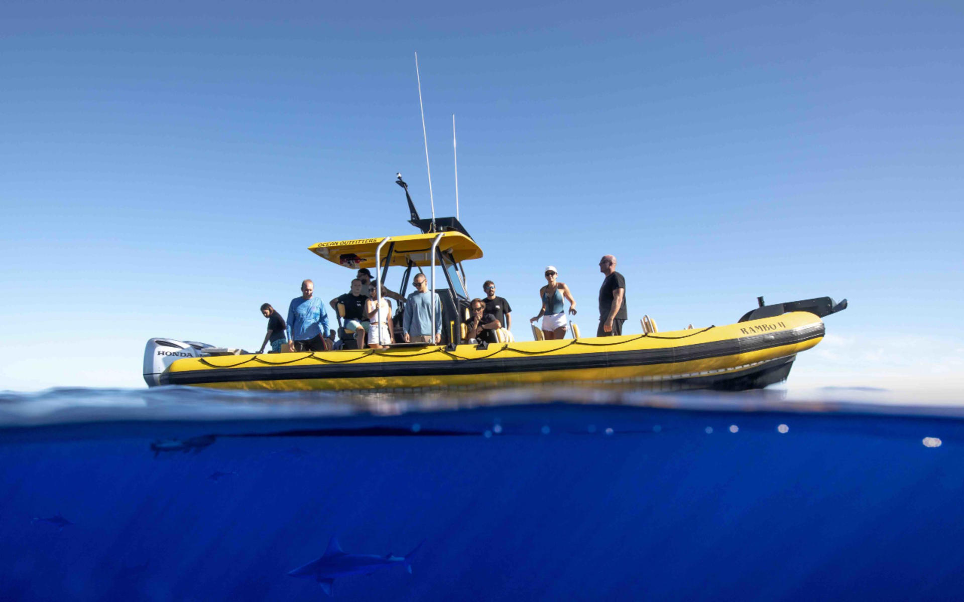 Oahu Marine Life Half-Day Small Group Experience  - Thumbnail 4