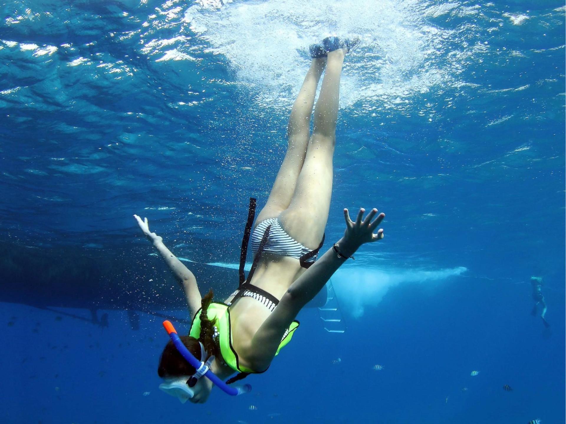 Zipline & Dolphin Watching Snorkel Adventure in Oahu - Thumbnail 24