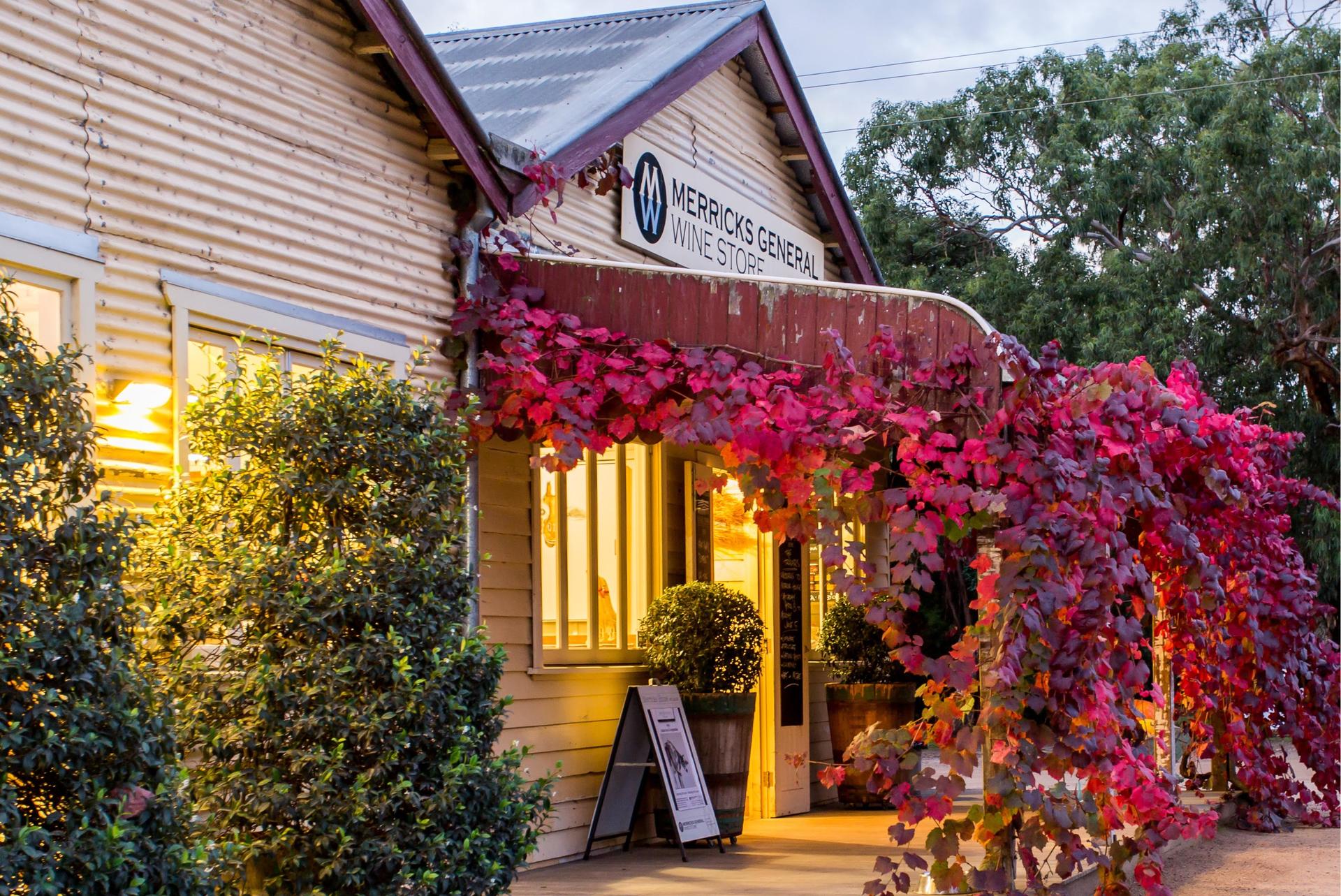 Mornington Peninsula Wine Day Tour with Transfers from Melbourne - Thumbnail 4