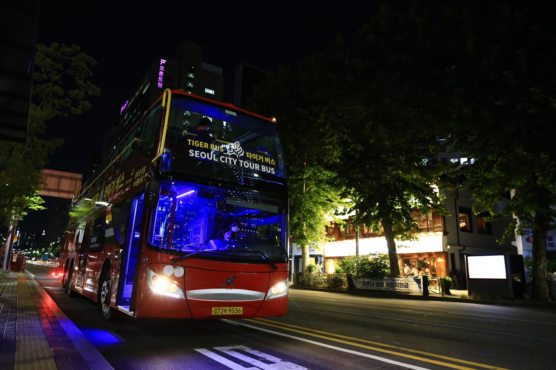 Seoul City Tour Bus Night View Course - Thumbnail 4