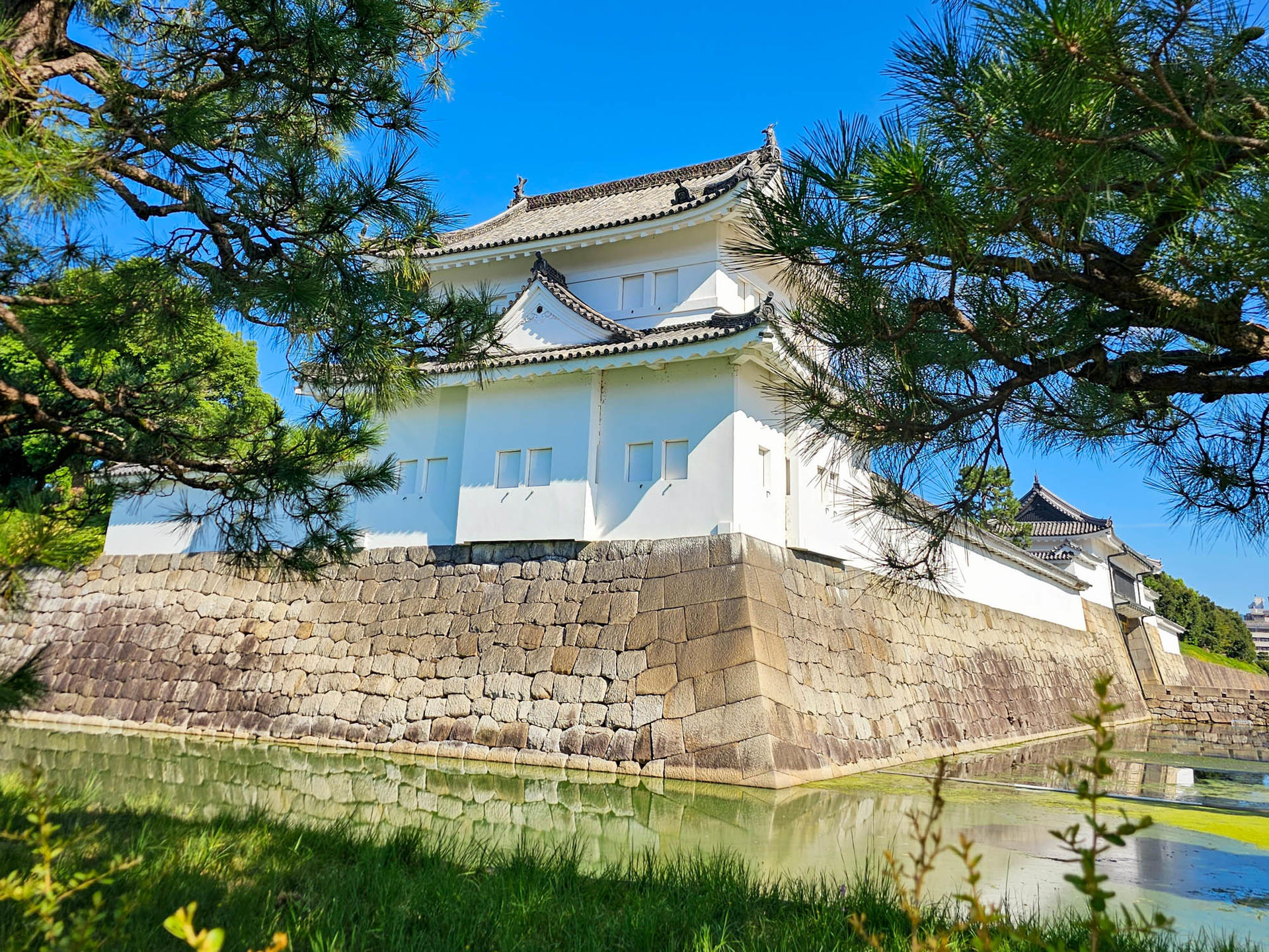 Kyoto Imperial Palace & Nijo Castle Small Group Guided Walking Tour  - Thumbnail 7