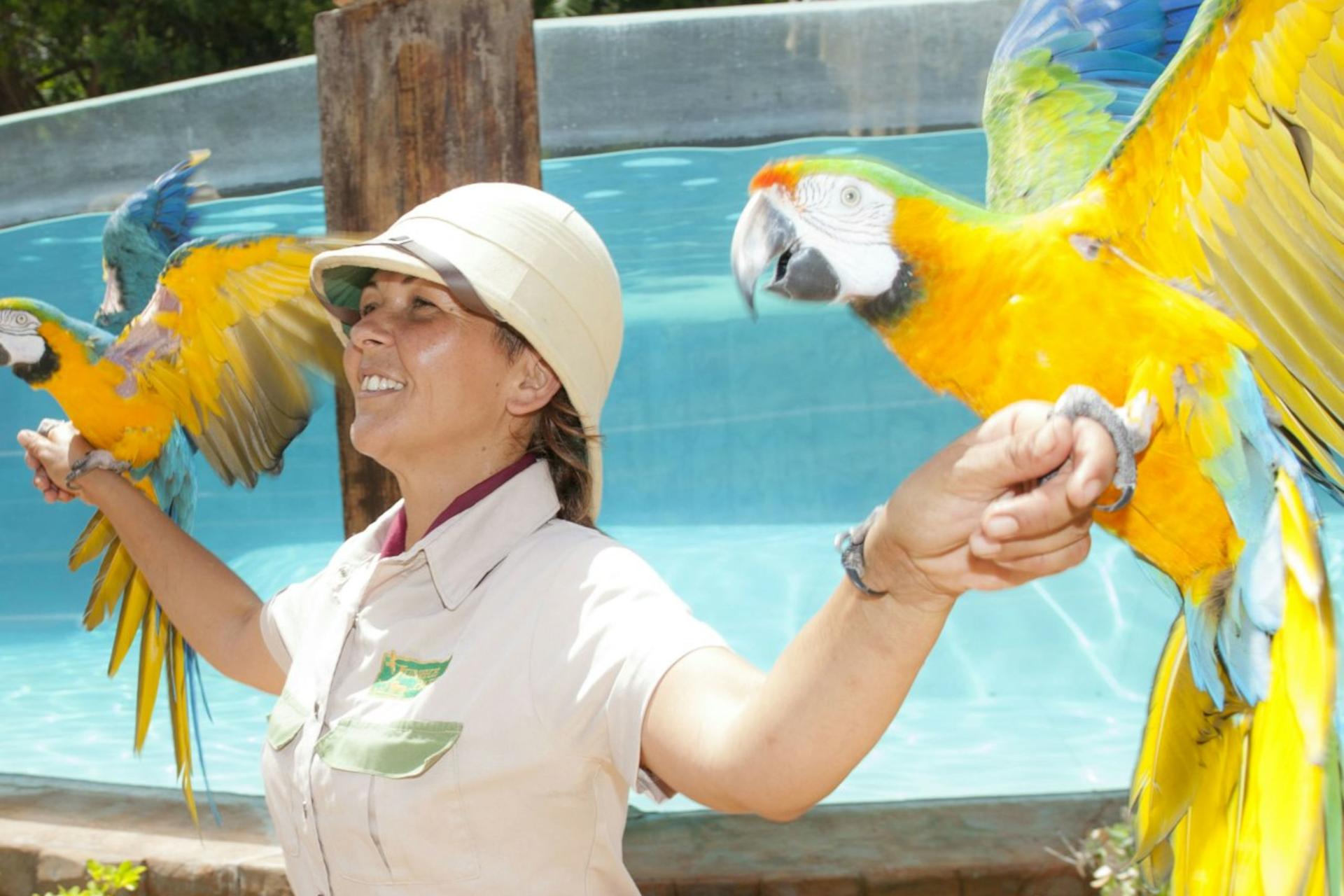 Jungle Park ticket in Tenerife - Thumbnail 4