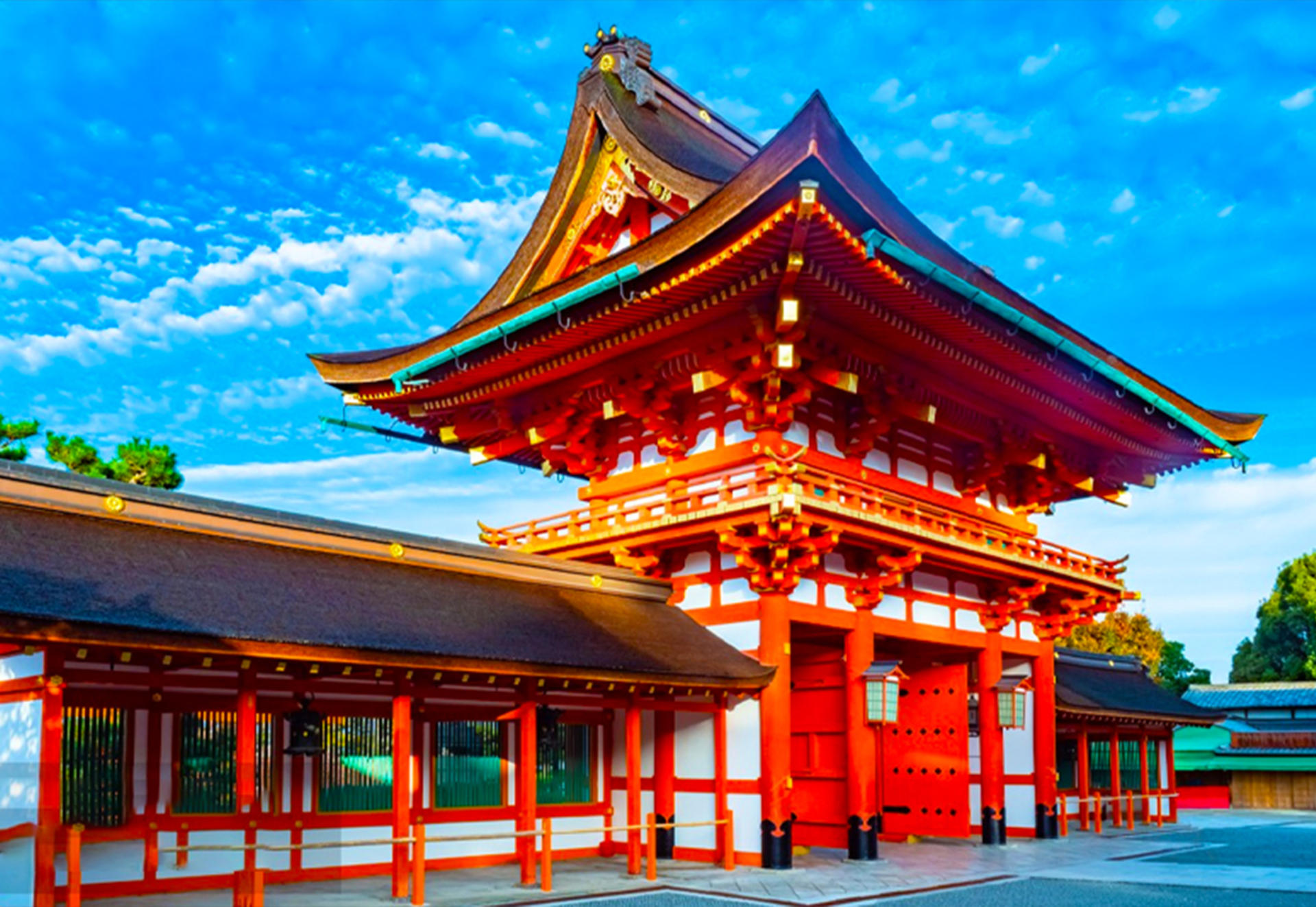 9-person Small Group Tour | Nara Park・Fushimi Inari-taisha・Arashiyama Moonlit Road One-Day Tour | Osaka Departure with Optional Hotel Pick-up and Drop-off - Thumbnail 4