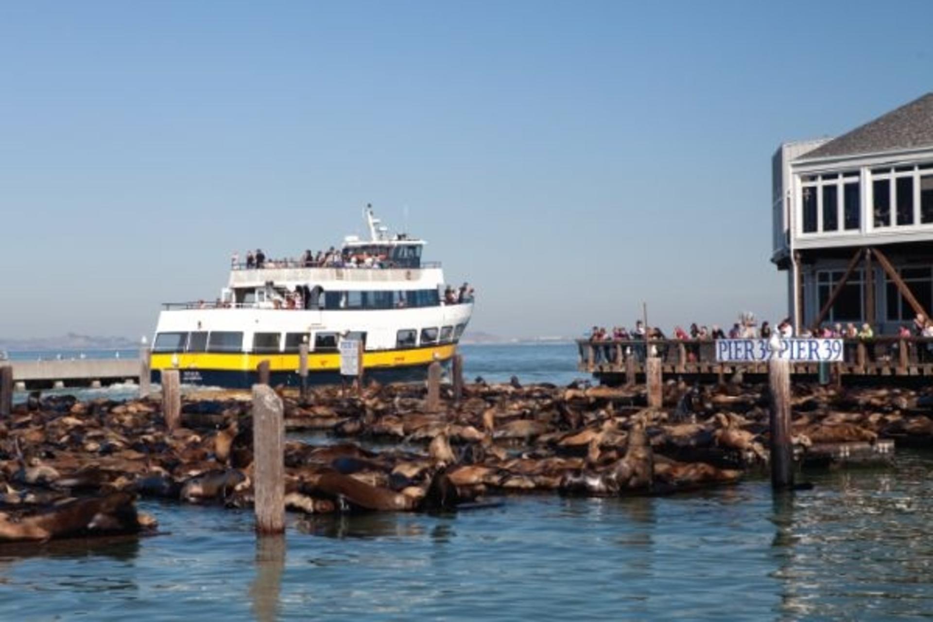 San Francisco Bus and Boat Adventure Day Tour - Thumbnail 4