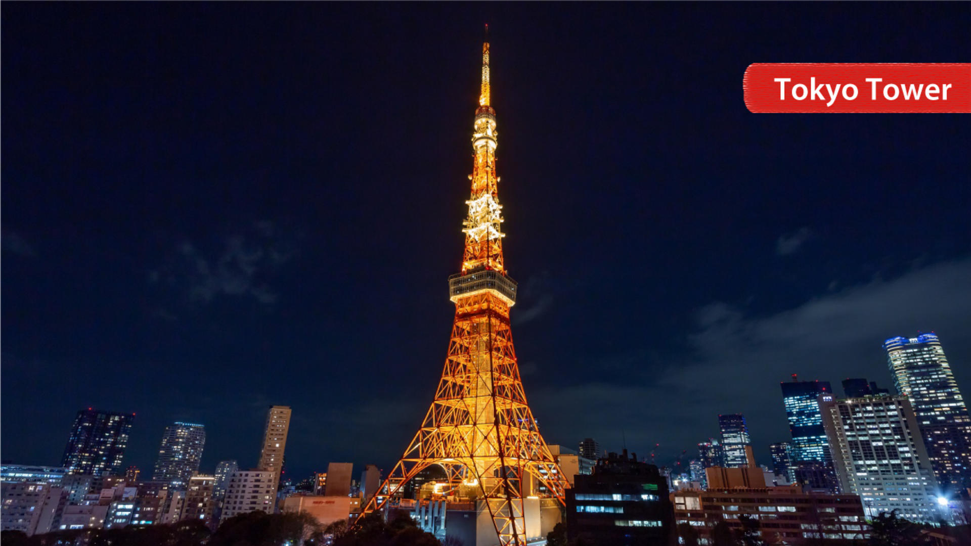 THE TOKYO PASS - Thumbnail 16