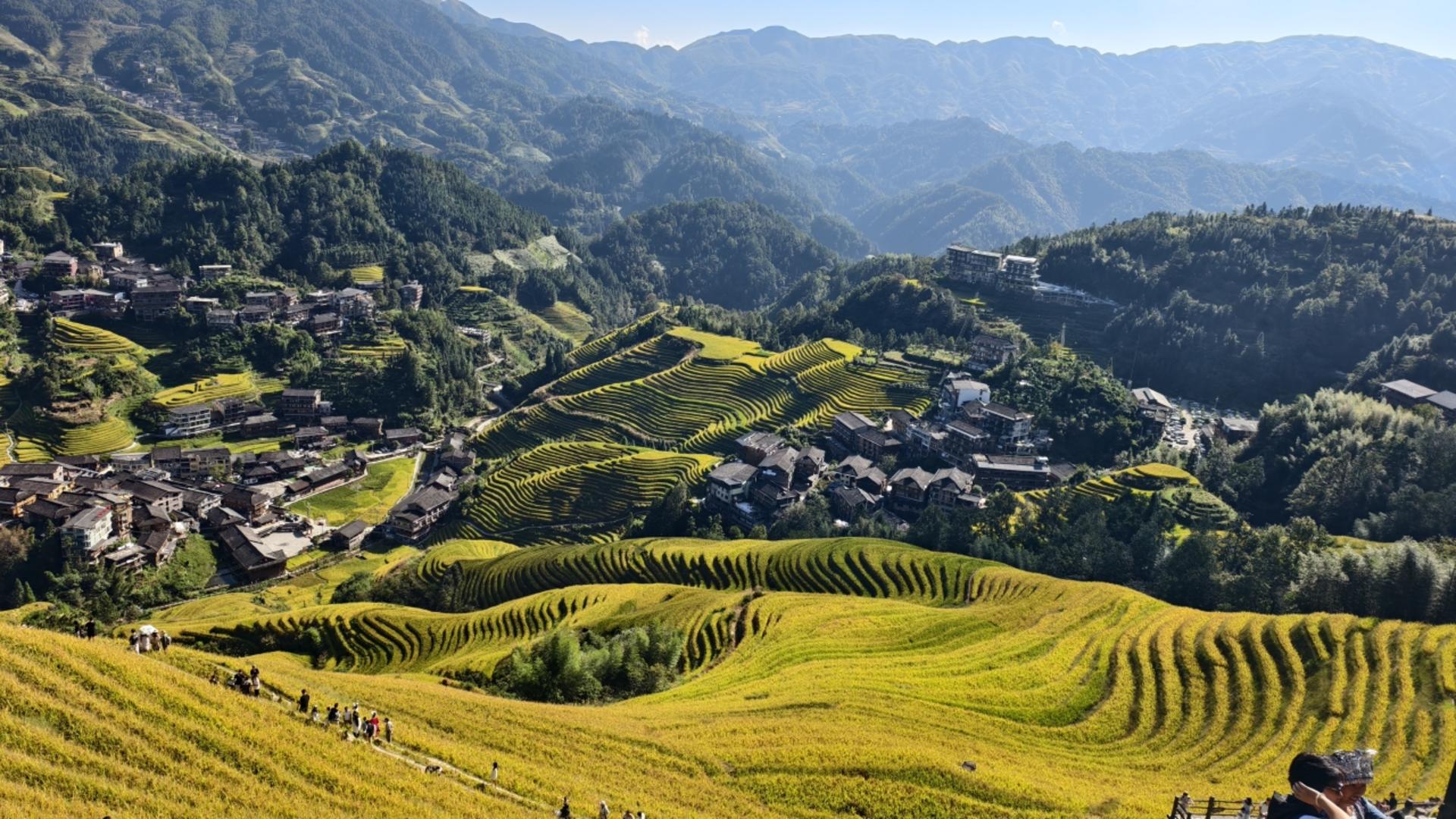 Must-see in Guilin! Longji Rice Terraces Day Tour from Guilin (round trip from Guilin city) - Thumbnail 7