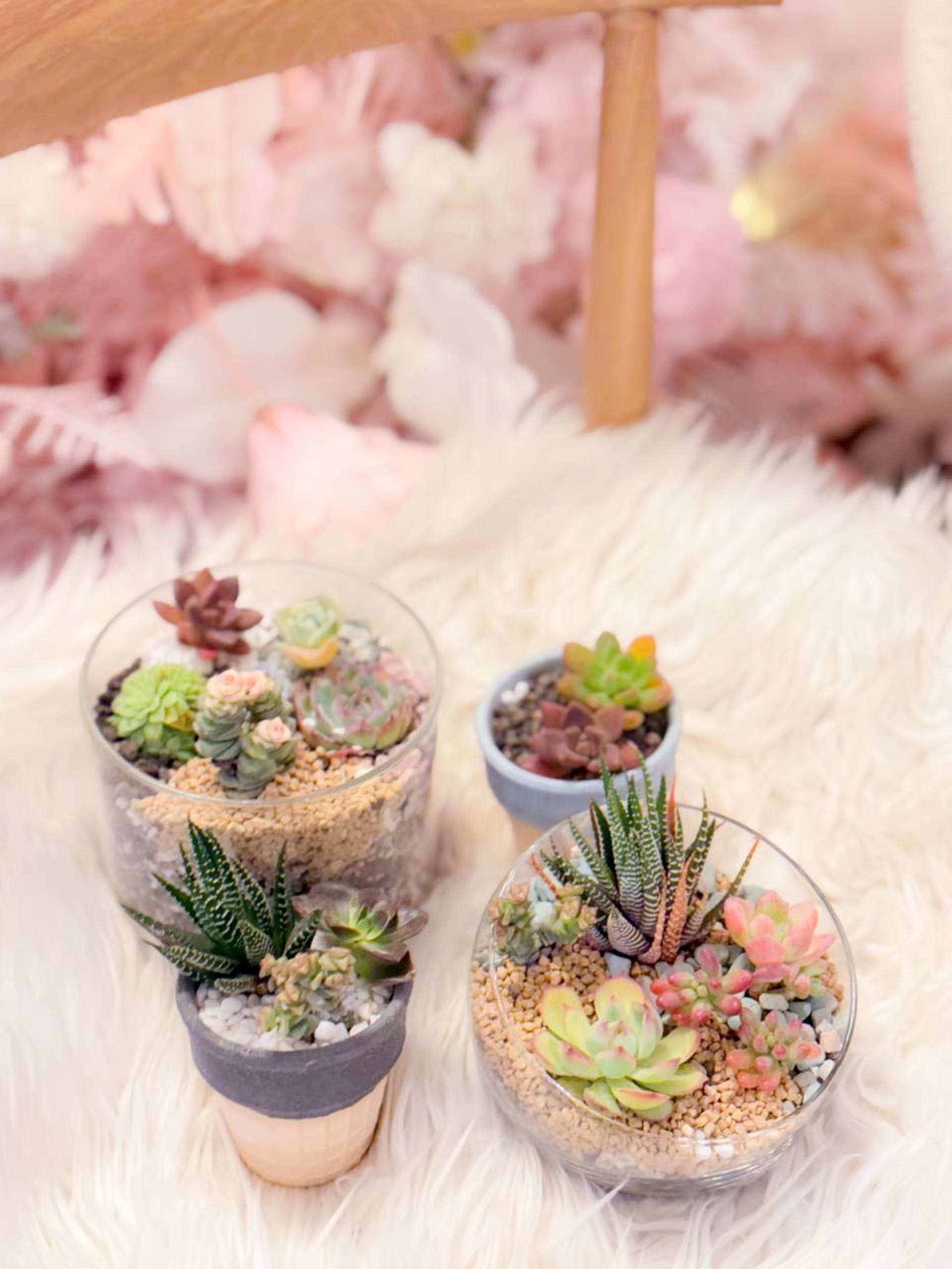 Myosotis Flower - Succulent Terrarium Workshop - Thumbnail 43