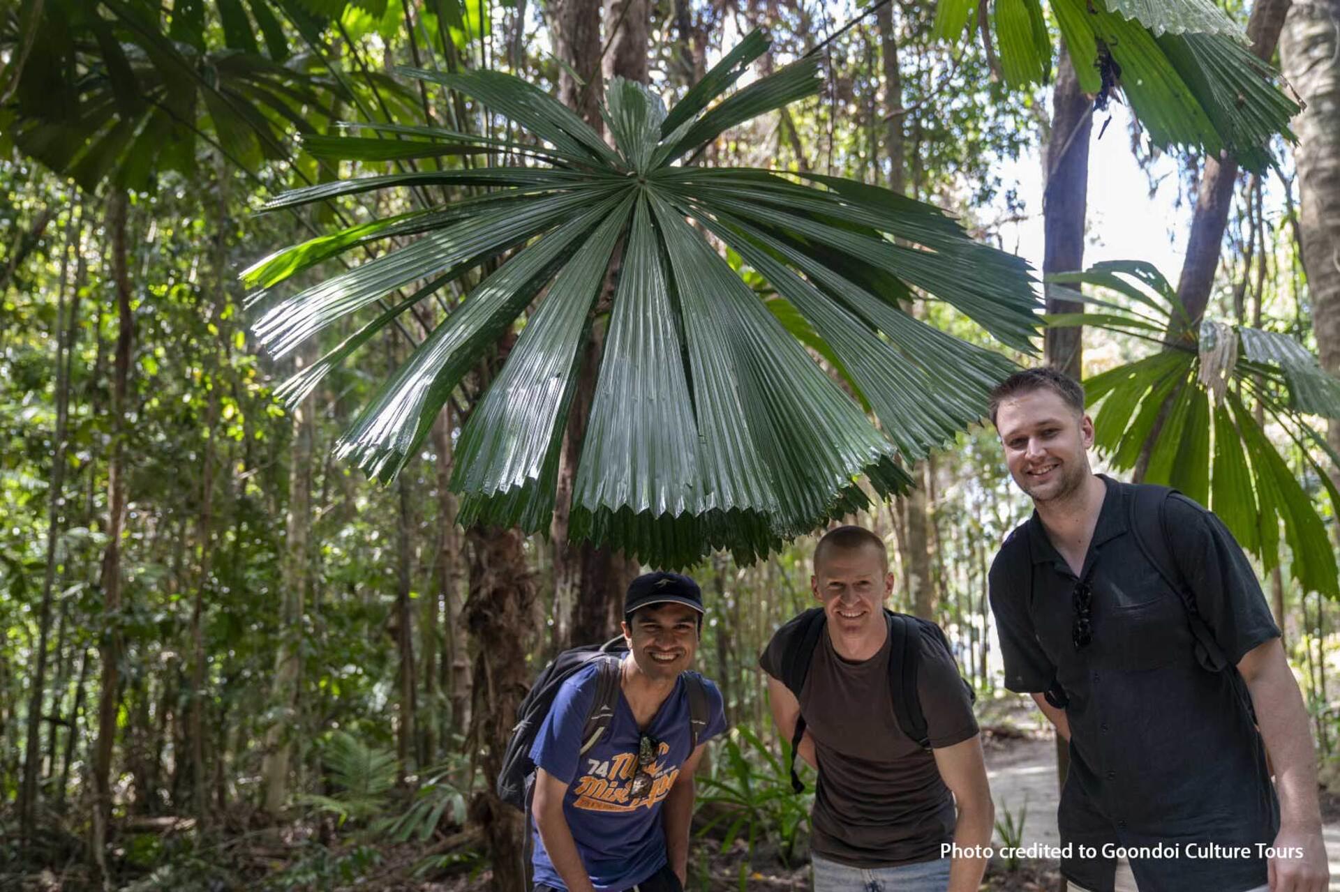 Cairns Full-Day Cassowary Coast Cultural Waterfall Tour - Thumbnail 2