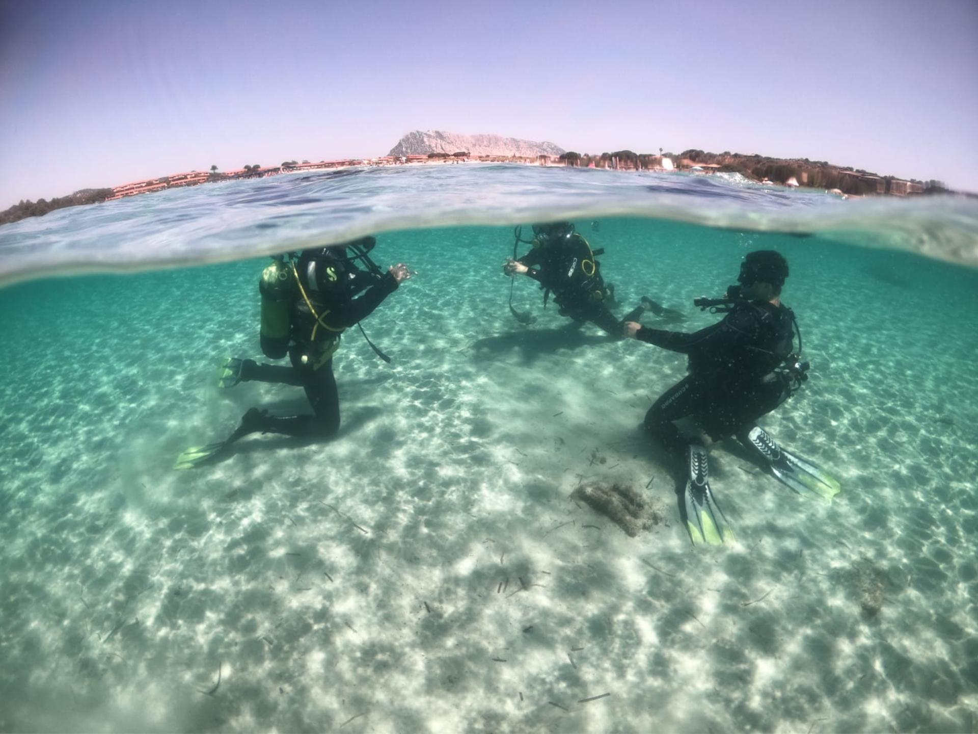 Seascape Discovery: Open Water Diver in San Teodoro with PADI Center - Thumbnail 8