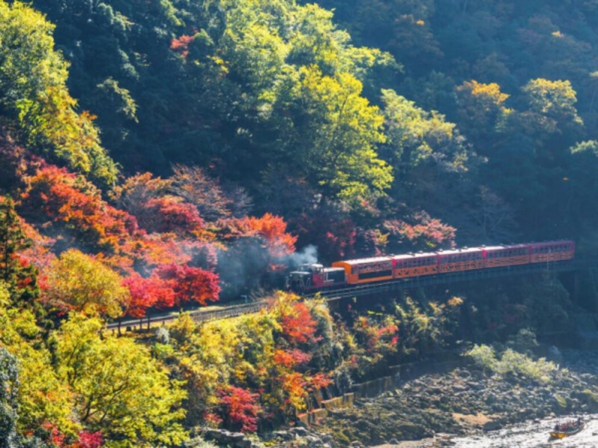 One-day trip to Kyoto's Kifune Shrine, Arashiyama, and Sanzen-in Temple - Thumbnail 12