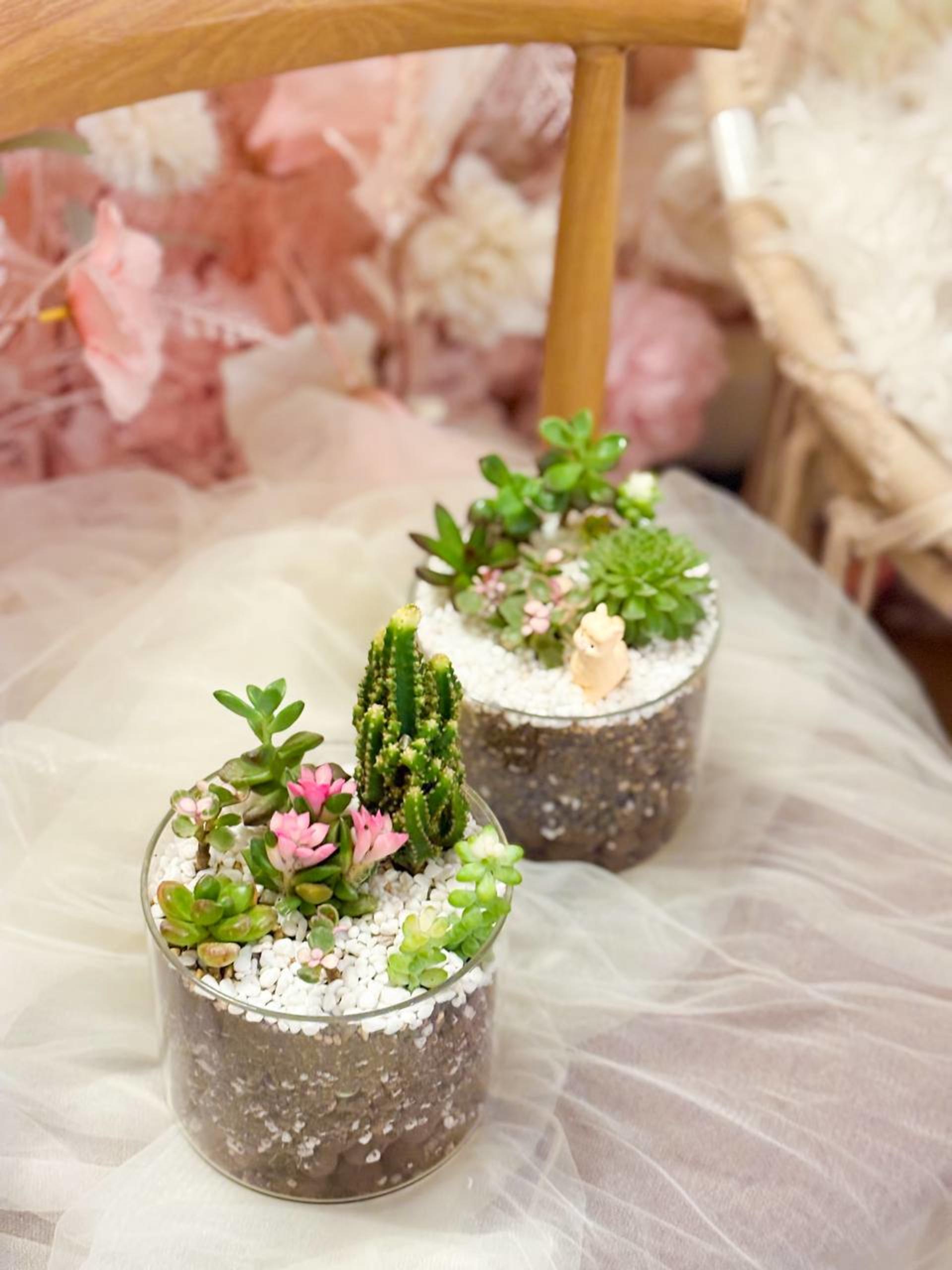 Myosotis Flower - Succulent Terrarium Workshop - Thumbnail 37