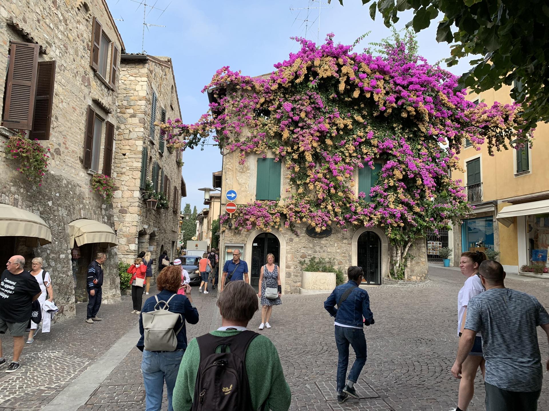 Half Day Guided Boat Cruise on Lake Garda - Thumbnail 14