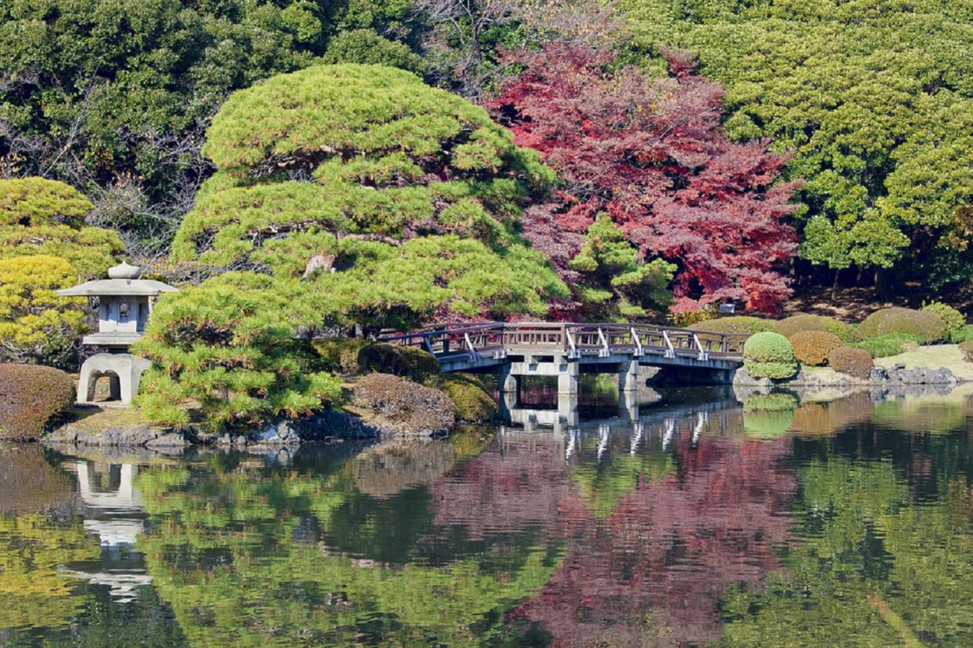 Shinjuku Gyoen National Garden - 2 Hours Walking Tour - Image 1