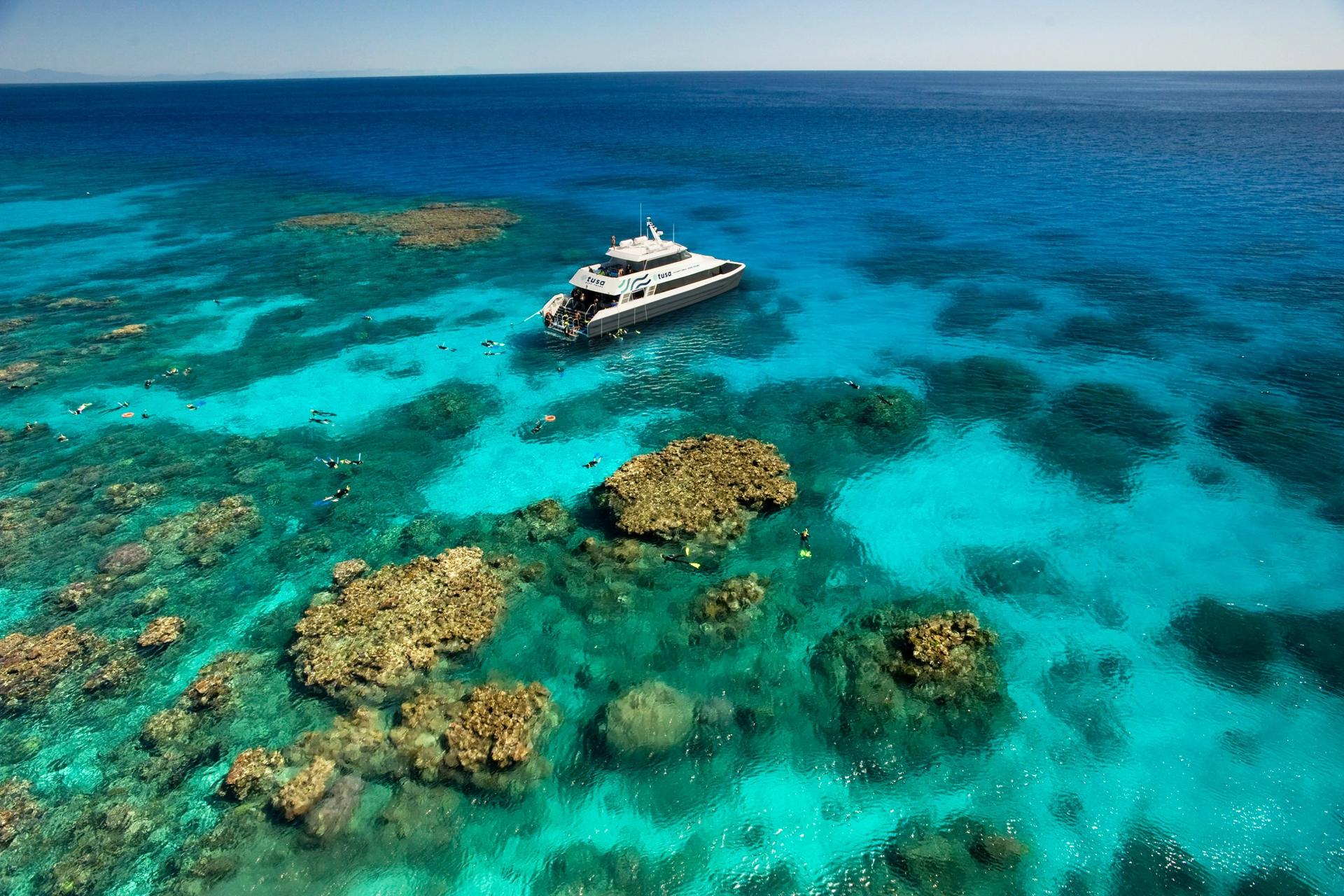 Great Barrier Reef Half Day and Full Day Tours - Thumbnail 21