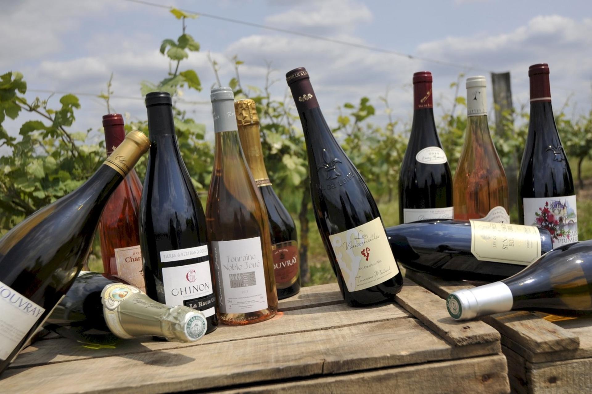 Loire Valley Full Day Wine Tour from Tours  - Image 1