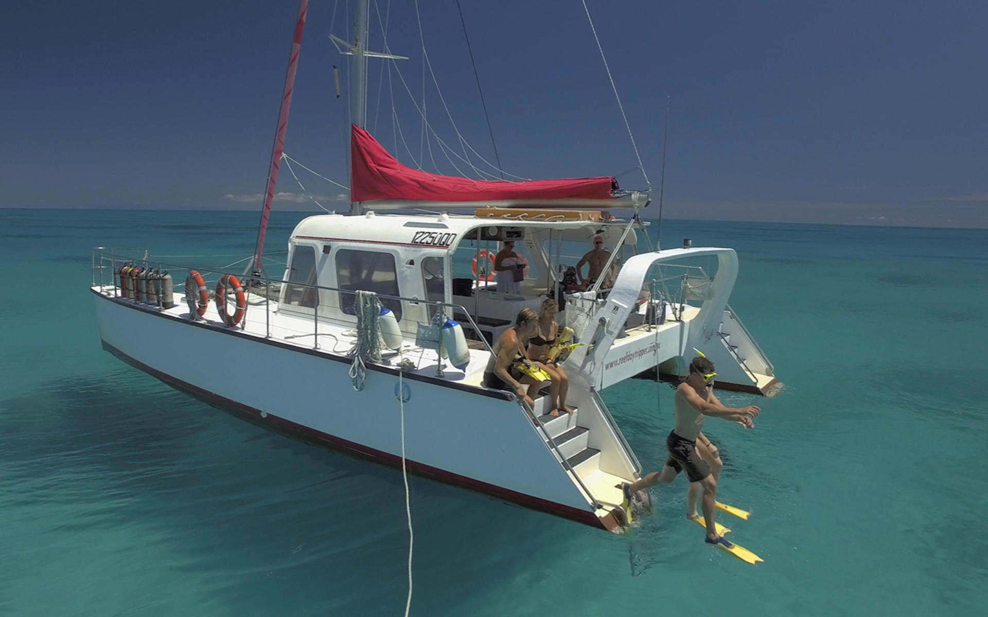 Reef Daytripper Snorkel and Scuba Dive Experience - Thumbnail 3