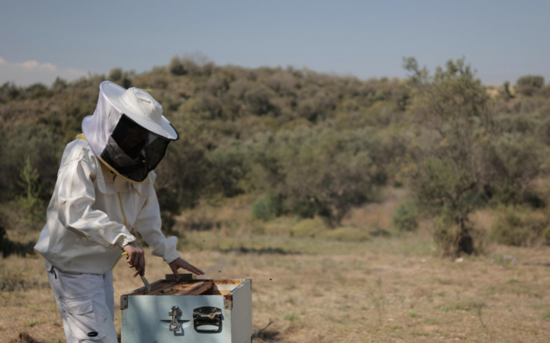 Beekeeping Experience and Honey Tasting in Kalamata - Thumbnail 5