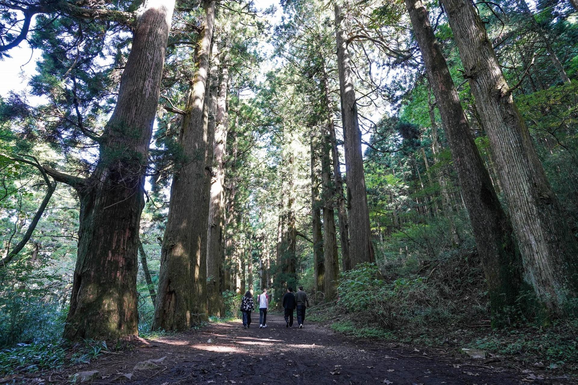 Hakone Full Day Chartered Private Tour: Art & Nature - Thumbnail 2
