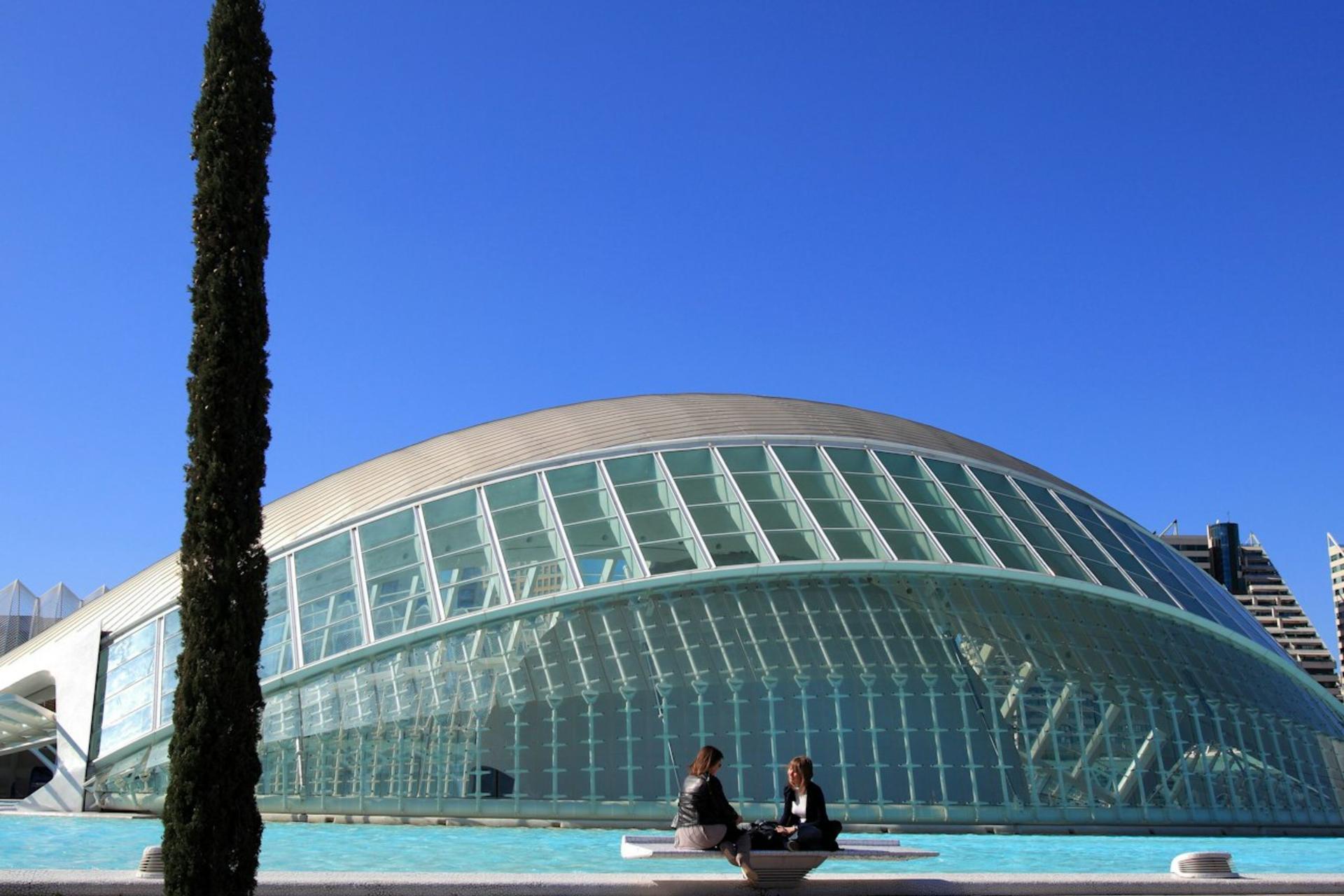 Hemisferic ticket in Valencia - Thumbnail 5
