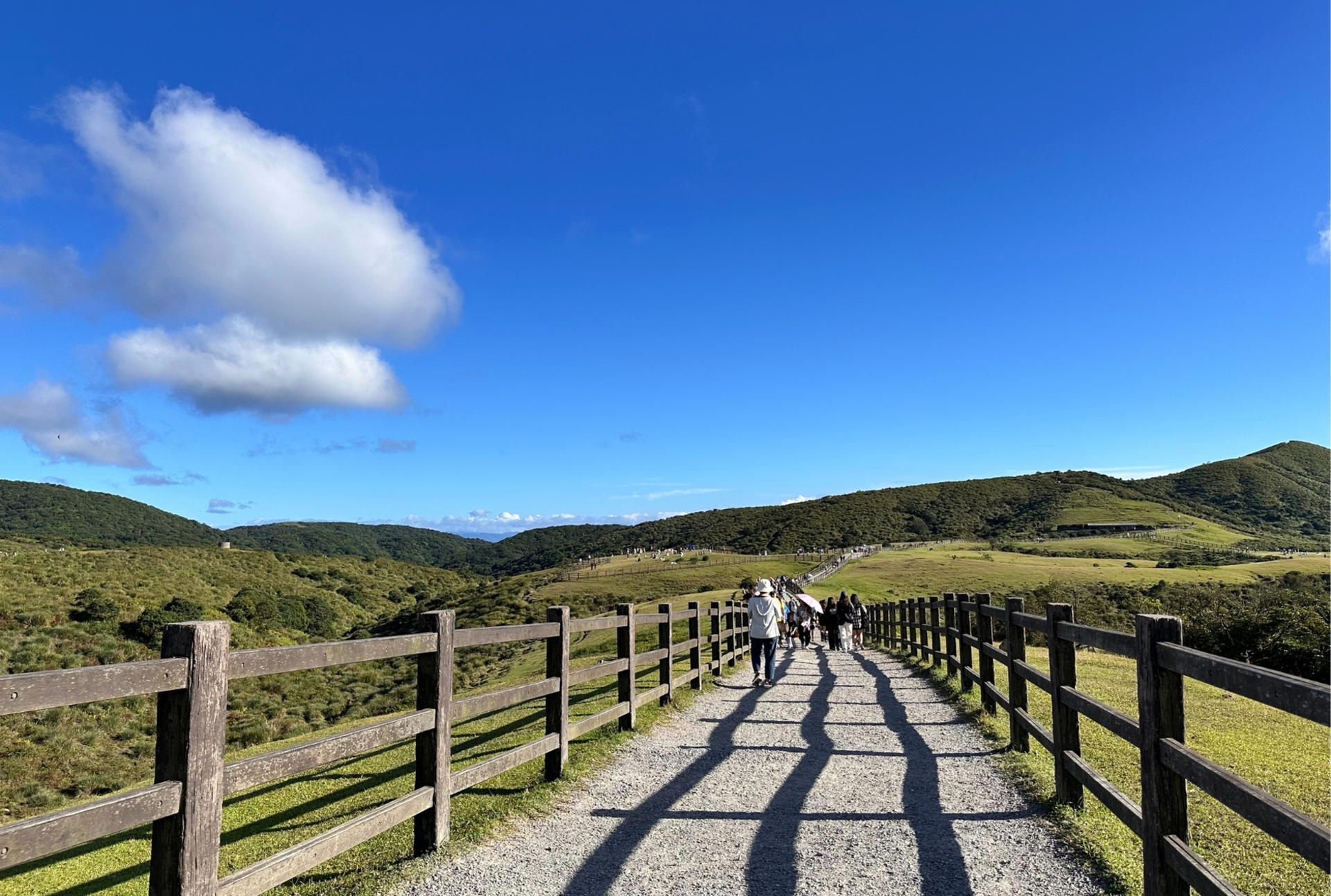 Taipei Full-Day Yangmingshan & Yehliu Geology Tour - Thumbnail 10
