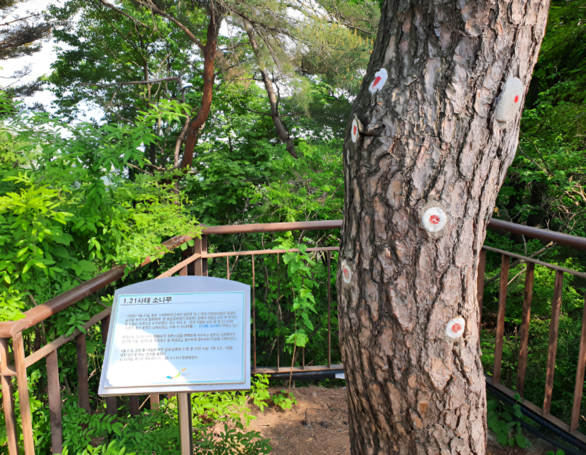 Seoul Bukak Mountain Hiking &  Gyeongbokgung Palace Ceremony Tour - Thumbnail 47
